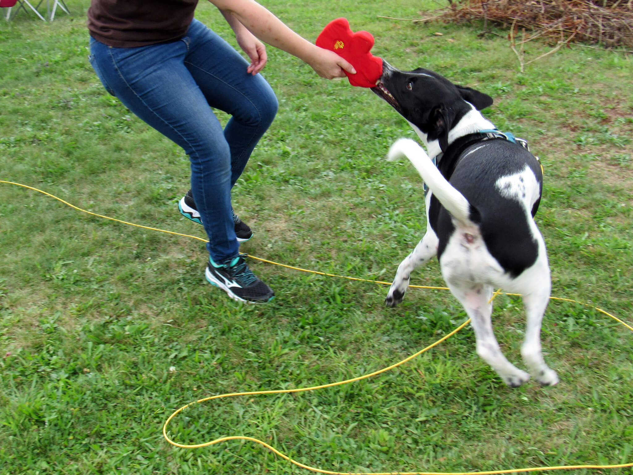 Tug Of War