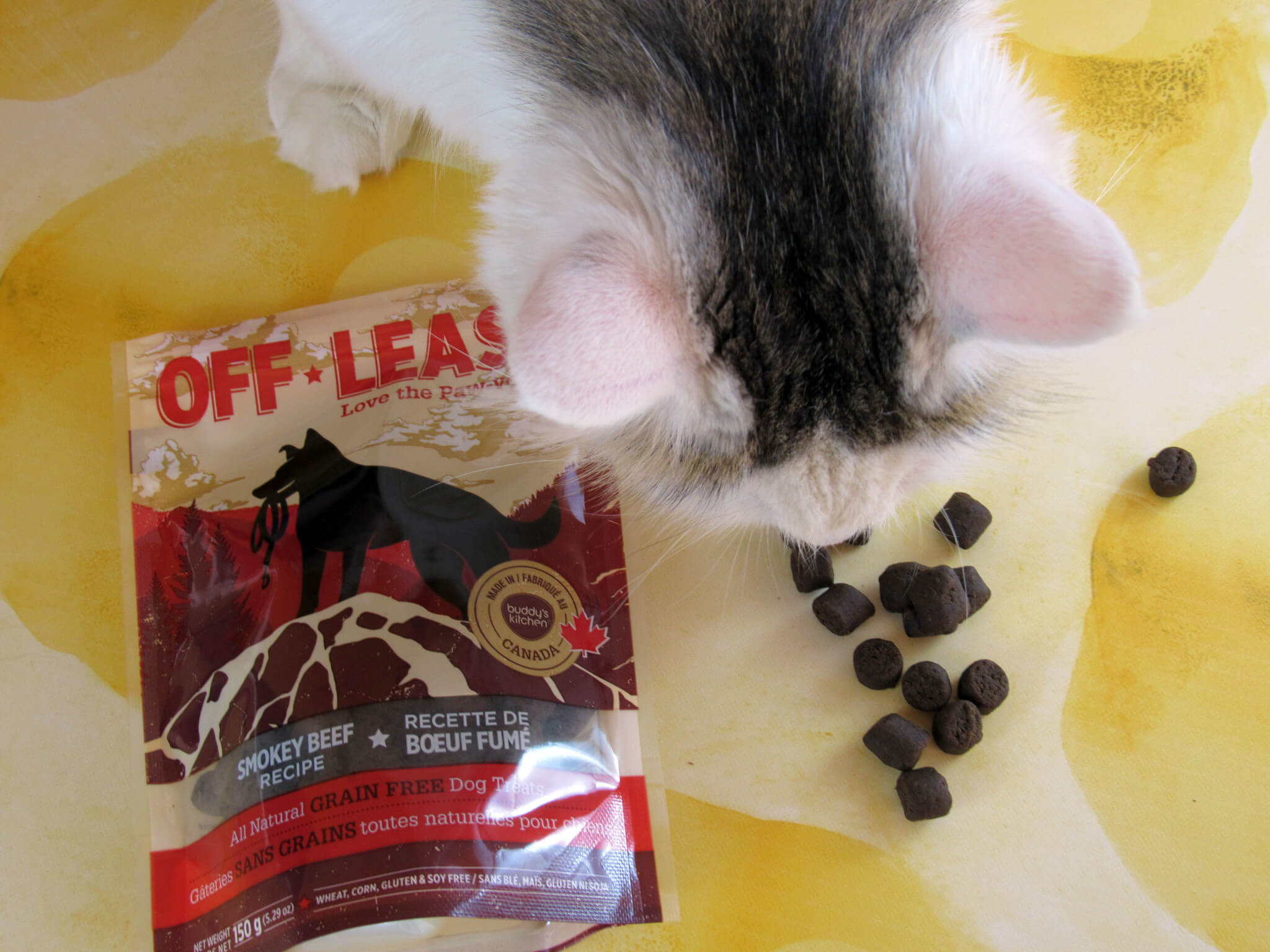 Off Leash Smokey Beef Treats