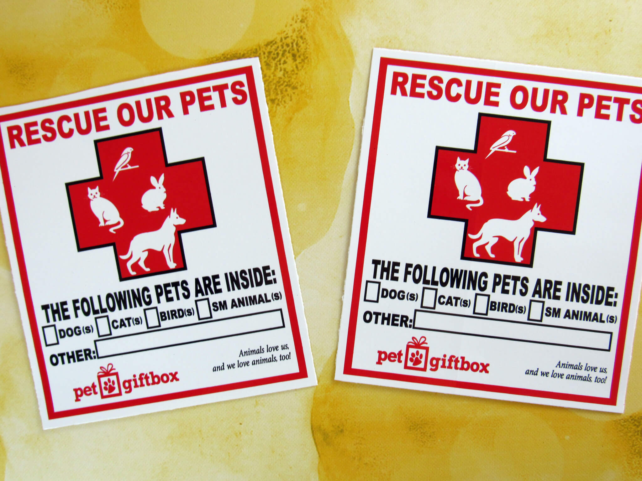 PetGIftBox WIndow Decals