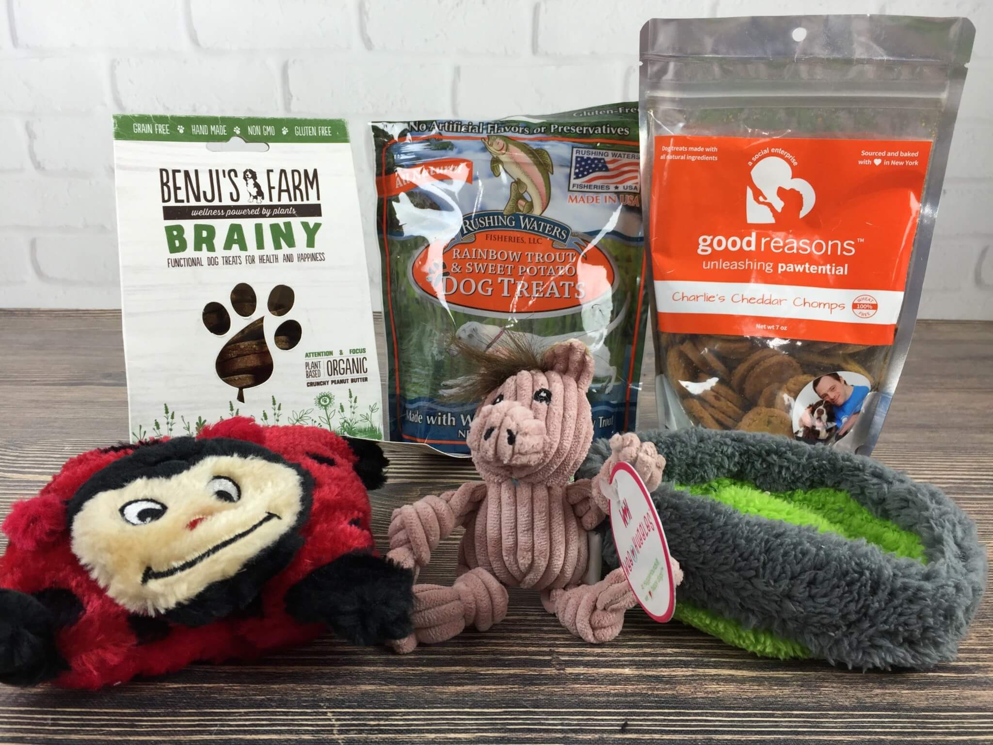 PupJoy August 2016 Subscription Box Review + Coupon