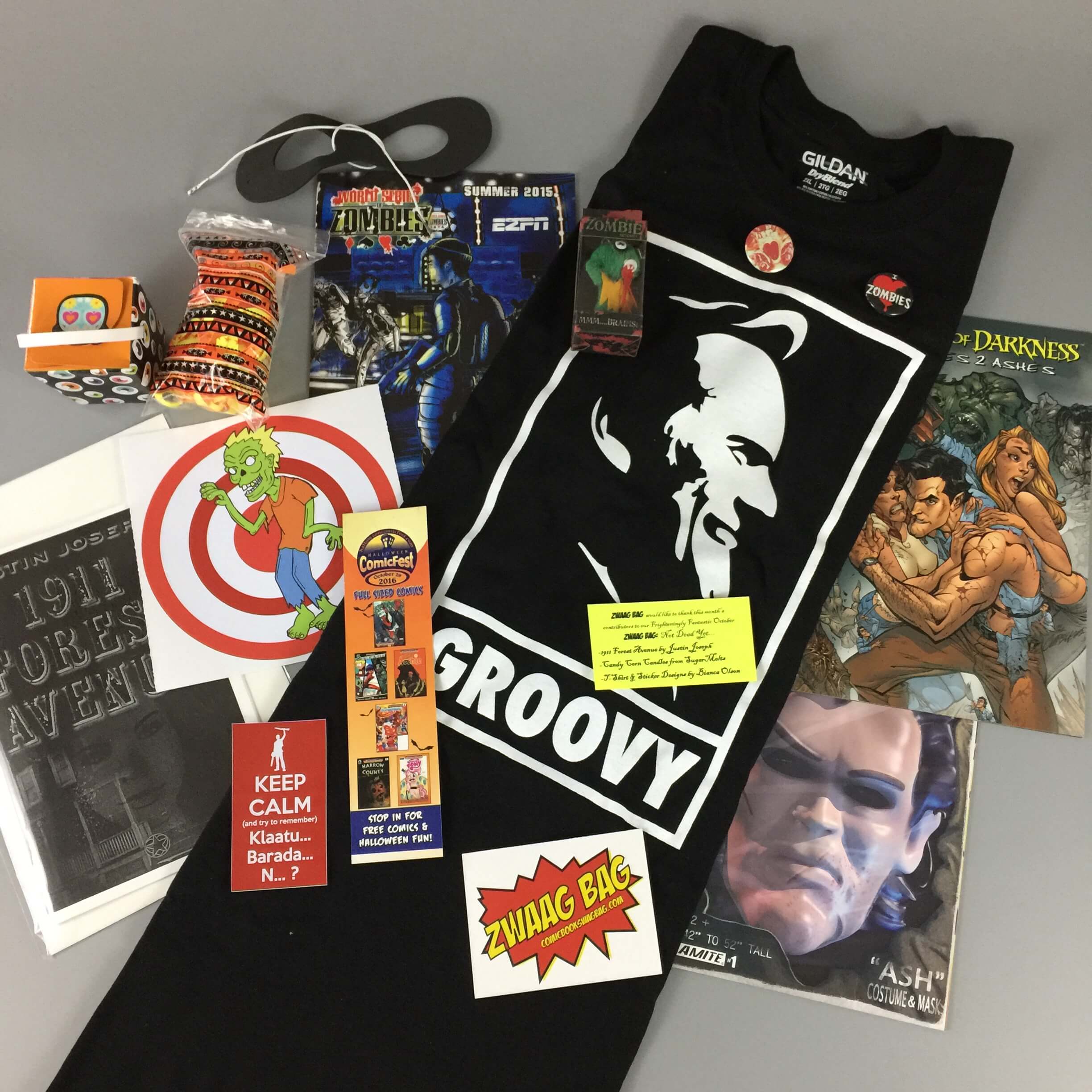 Zwaag Bag October 2016 Subscription Box Review & Coupon
