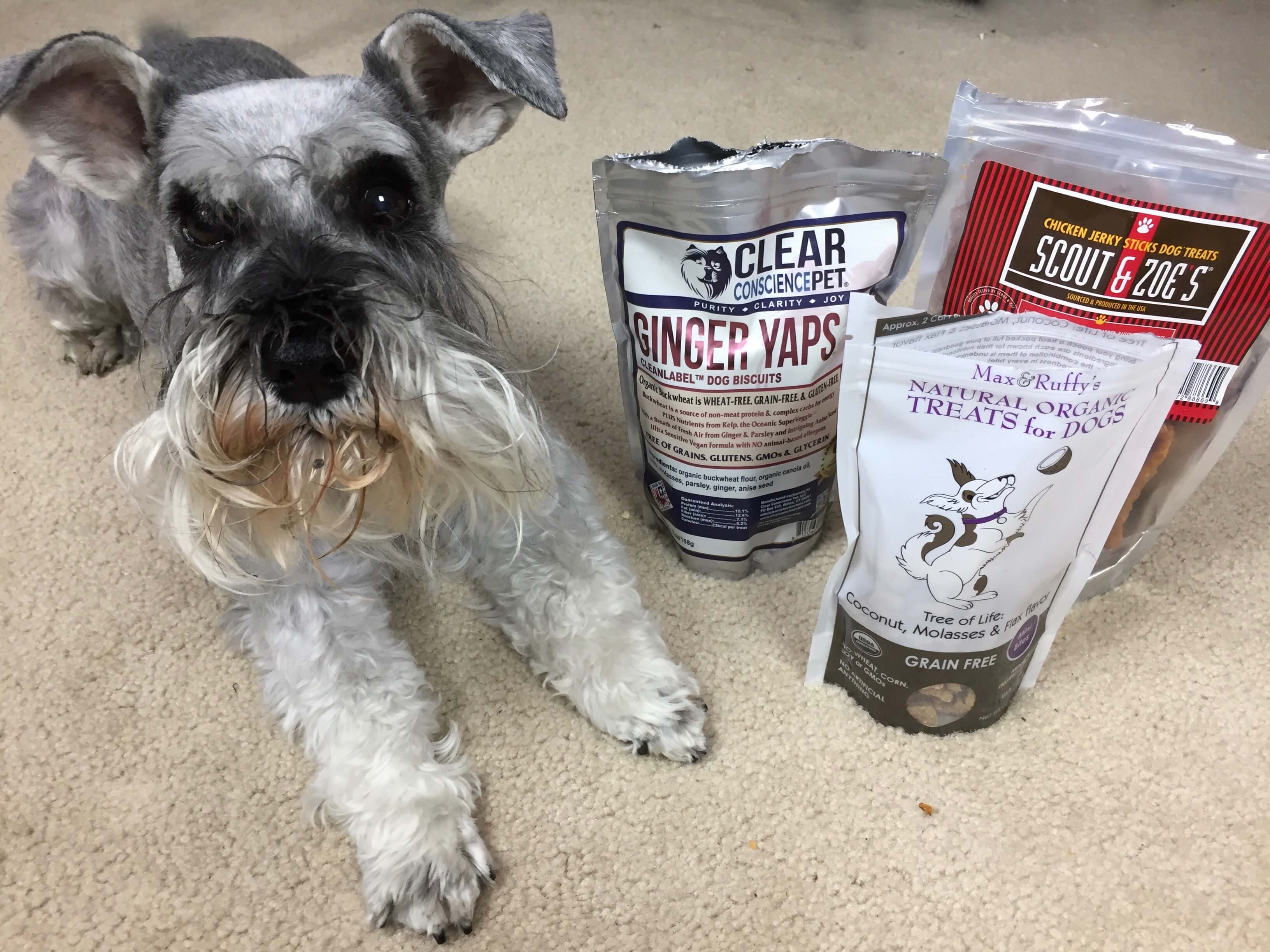 PupJoy October 2016 Subscription Box Review + Coupon