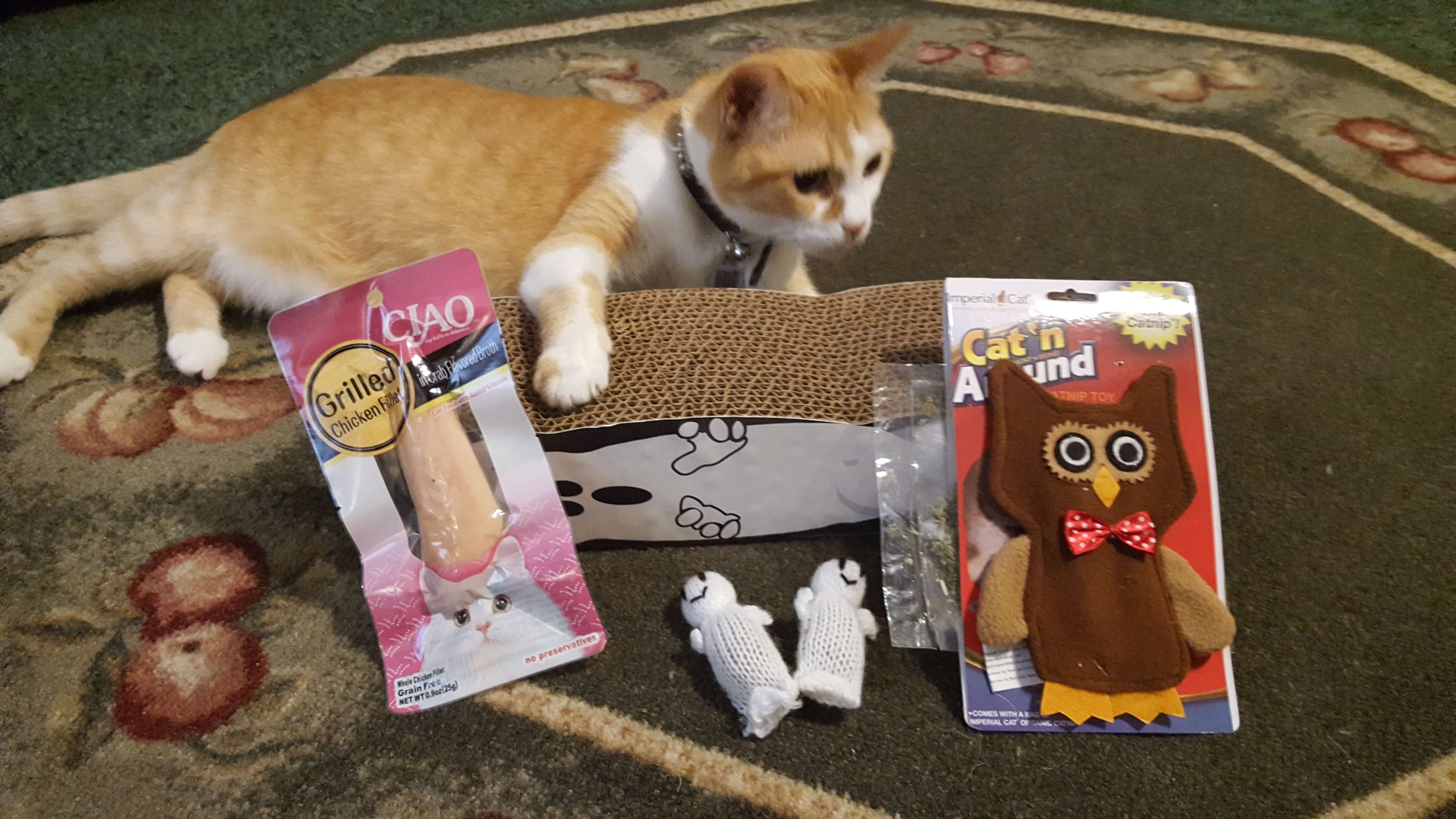 Cat Claws Club December 2016 Subscription Box Review