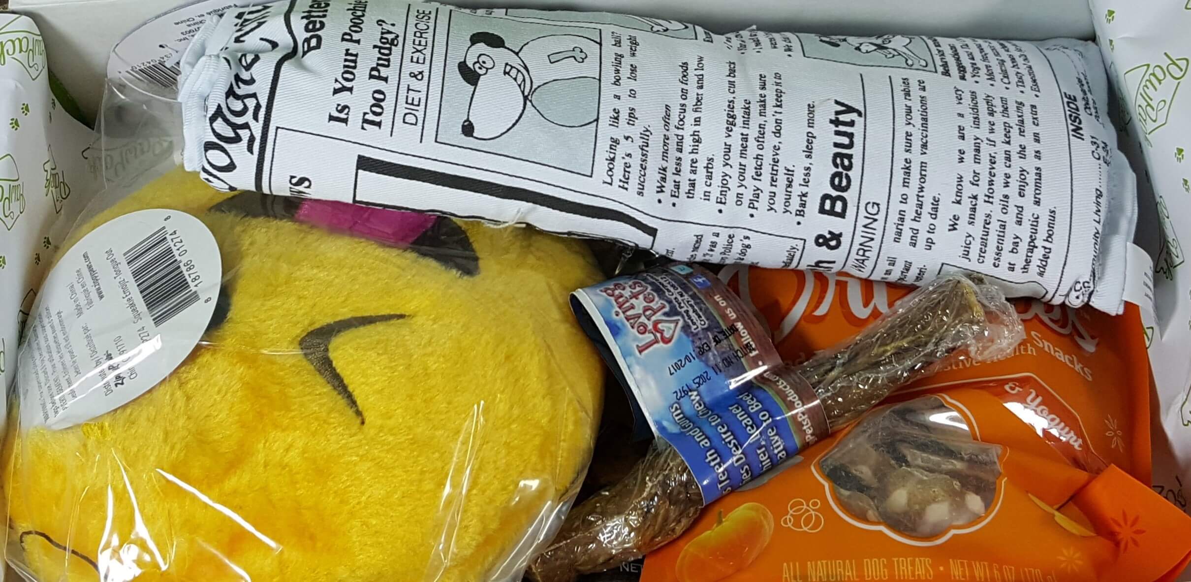 PawPack Dog Subscription Box Review + Coupon – September 2016