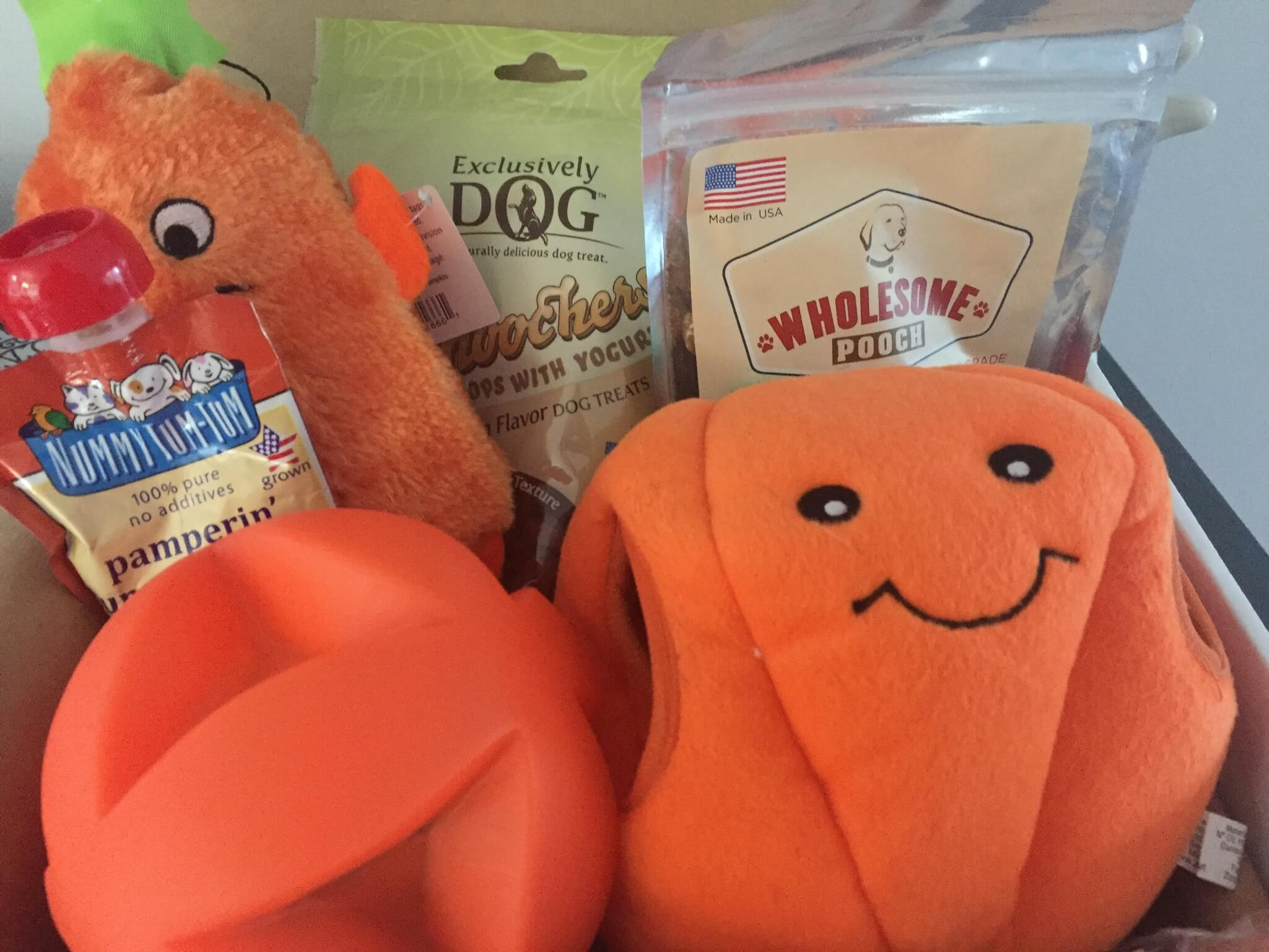 Pooch Perks October 2016 Subscription Box Review & Coupon