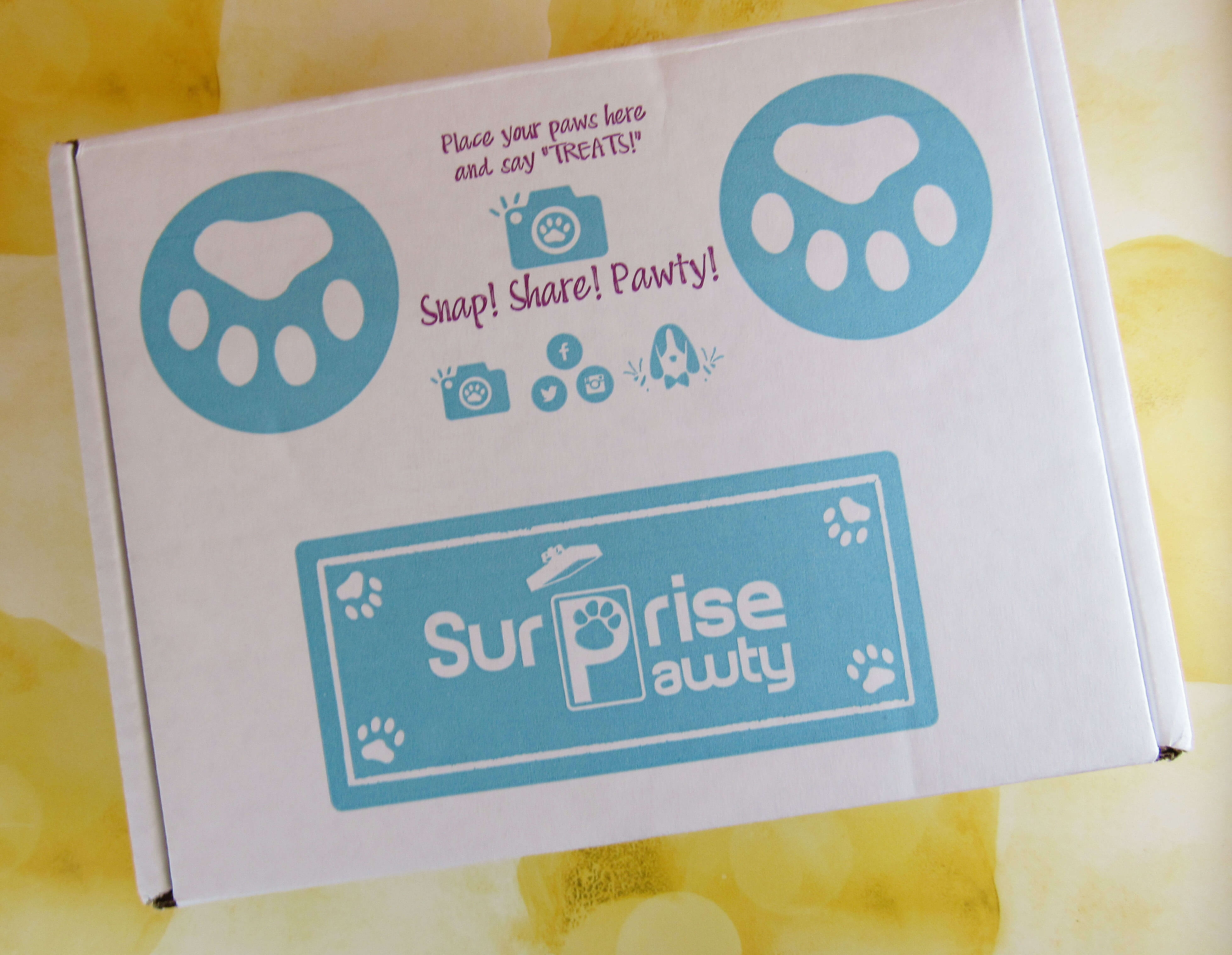 Surprise Pawty
