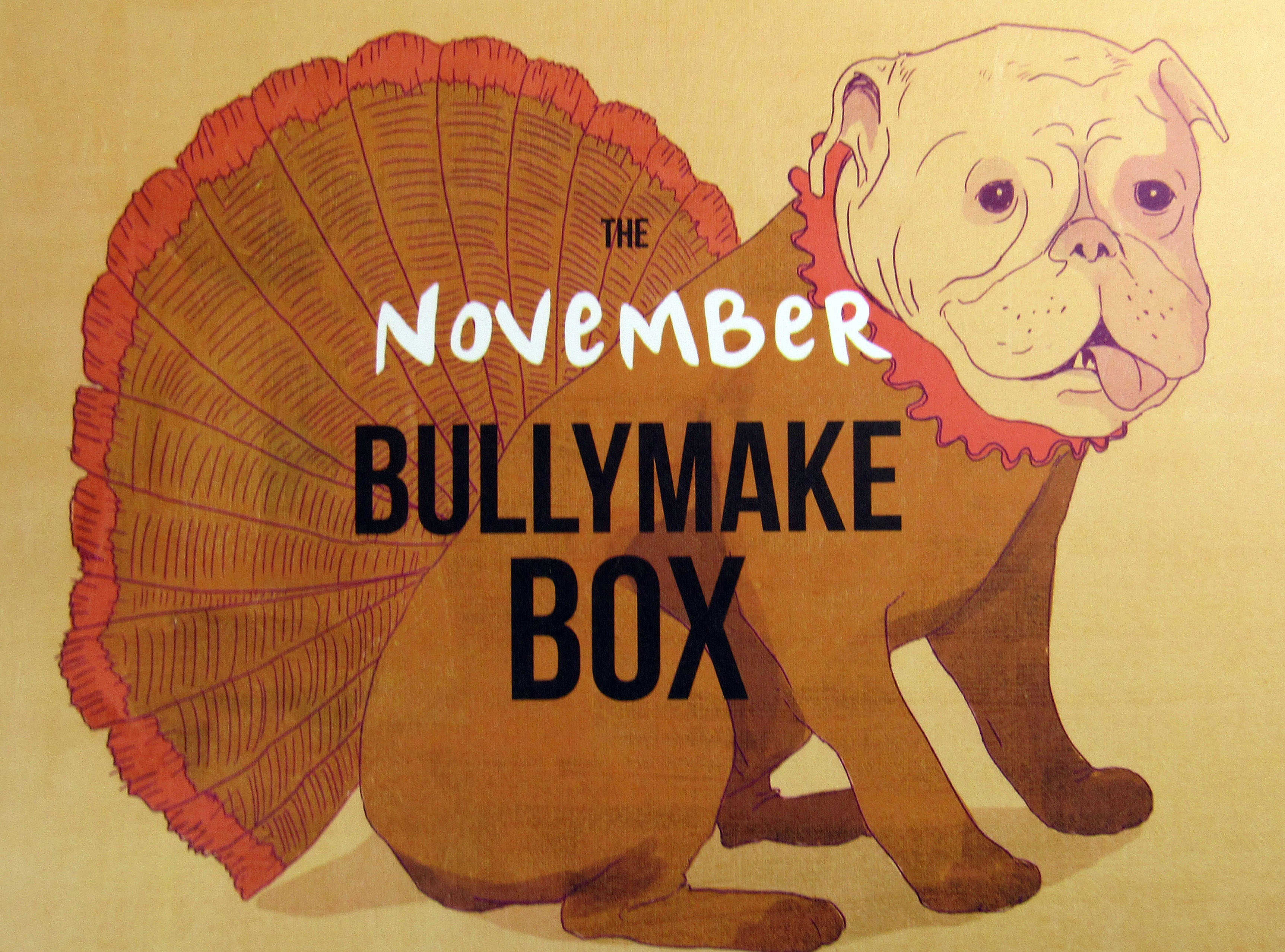 bullymakeboxnovember1609