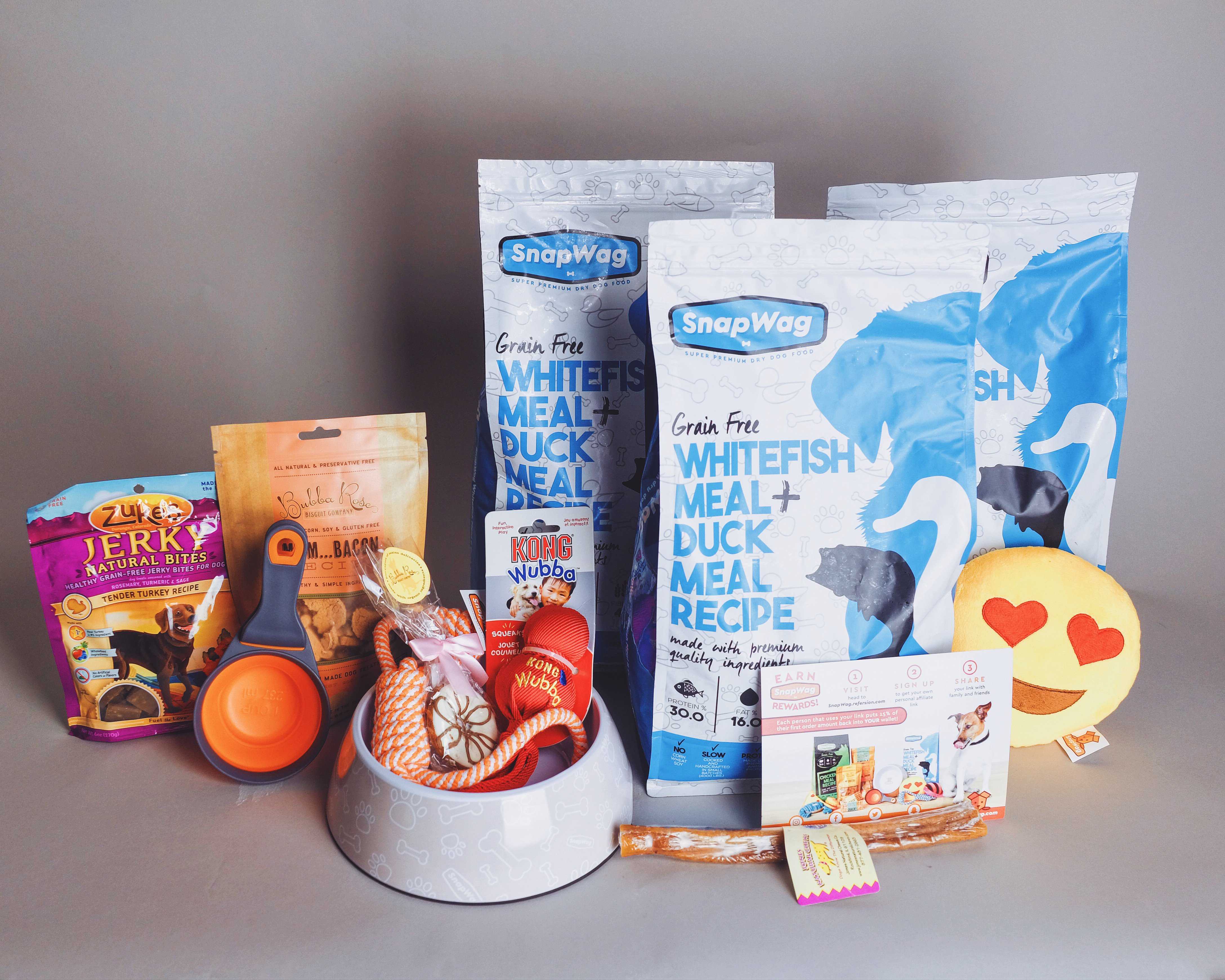 SnapWag Subscription Box Review + Coupon – November 2016