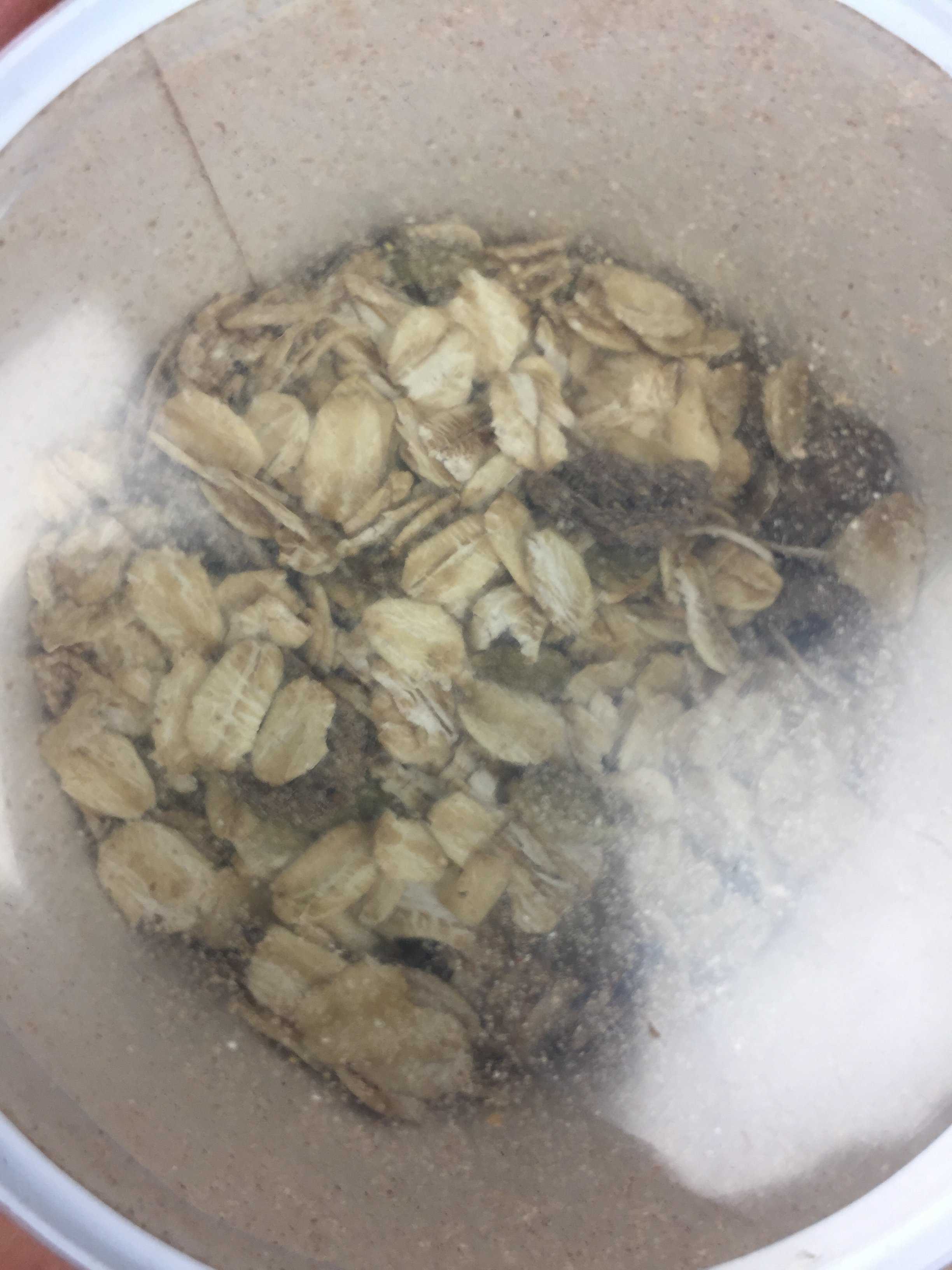 the-pumpkin-batch-november-2016-6