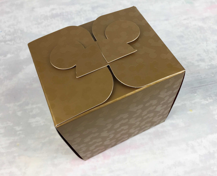 disney-park-pack-holiday-edition-november-2016-unboxing