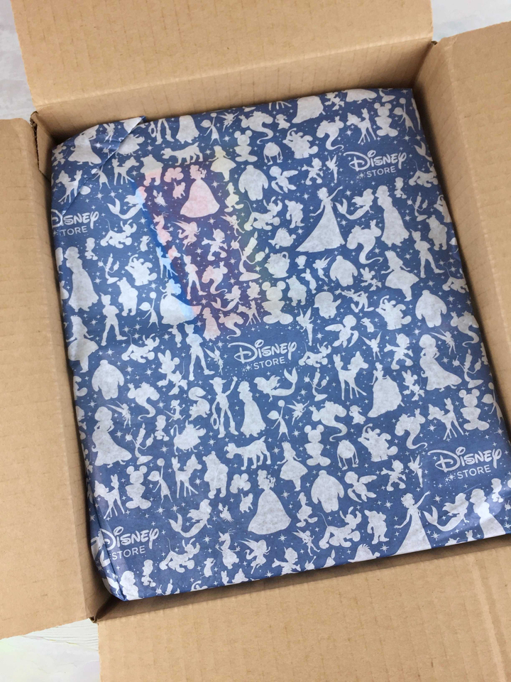 disney-park-pack-holiday-edition-november-2016-box