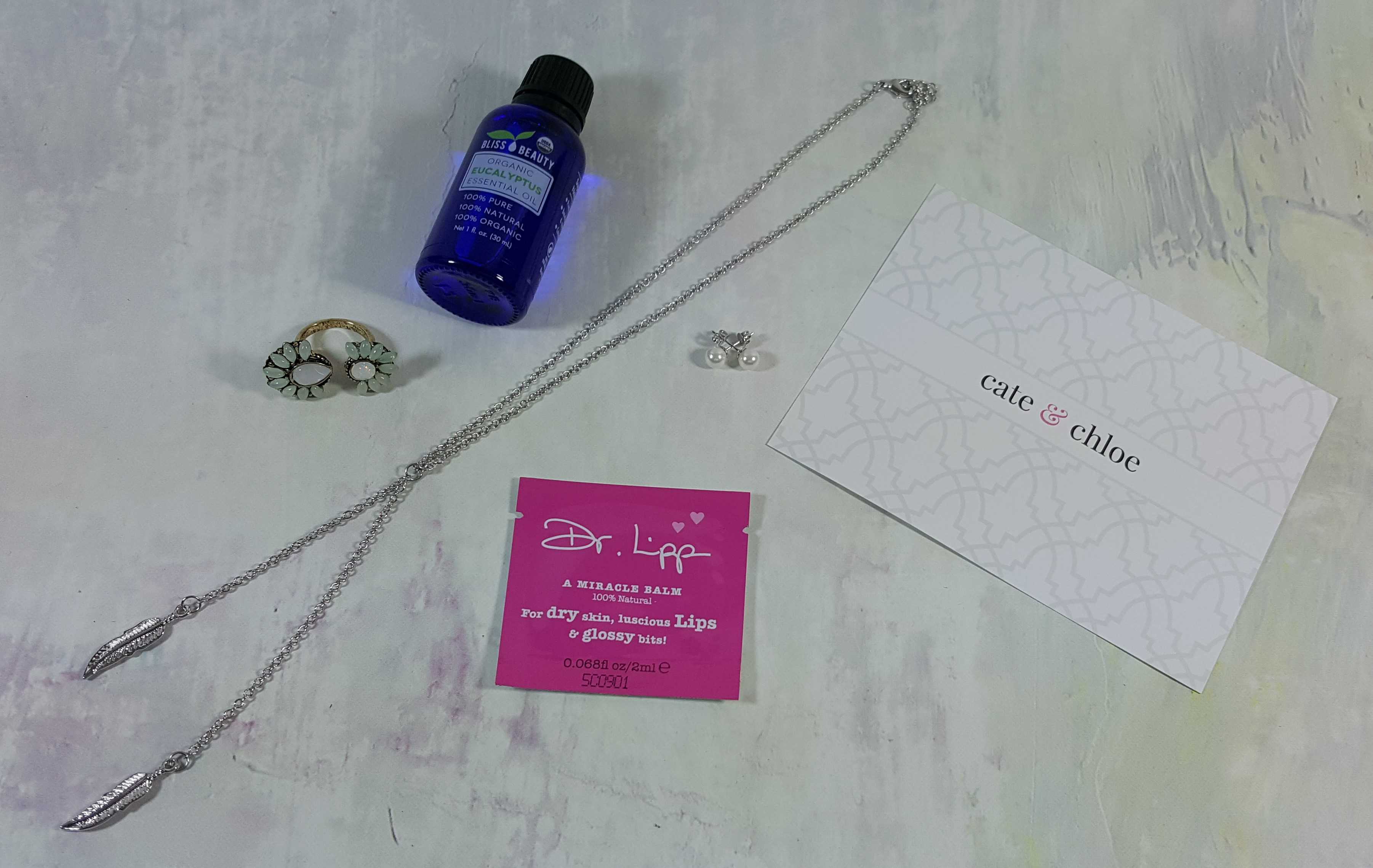 Cate & Chloe VIP Jewelry Subscription Box Review + Coupon – November 2016