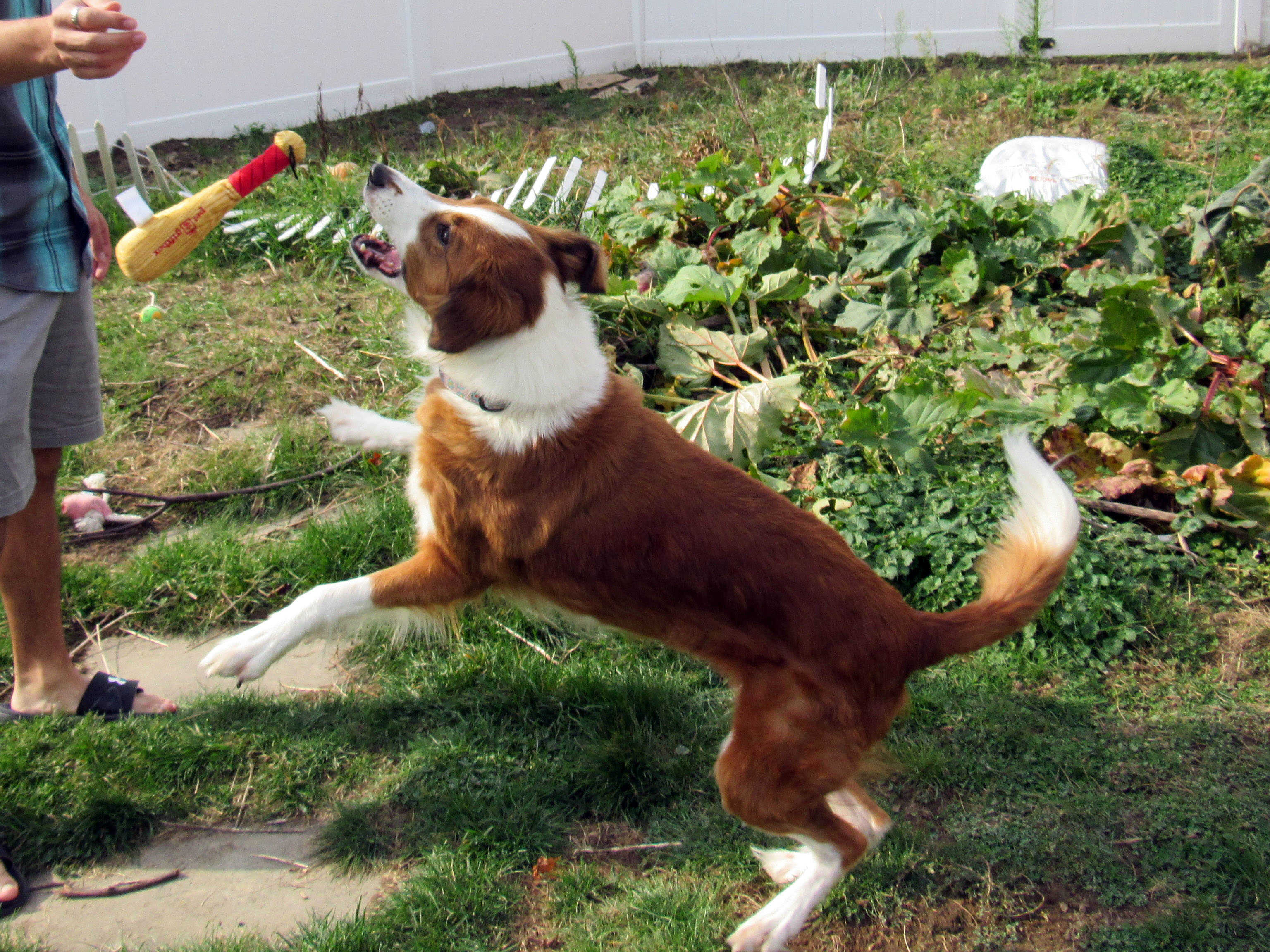 Jumping