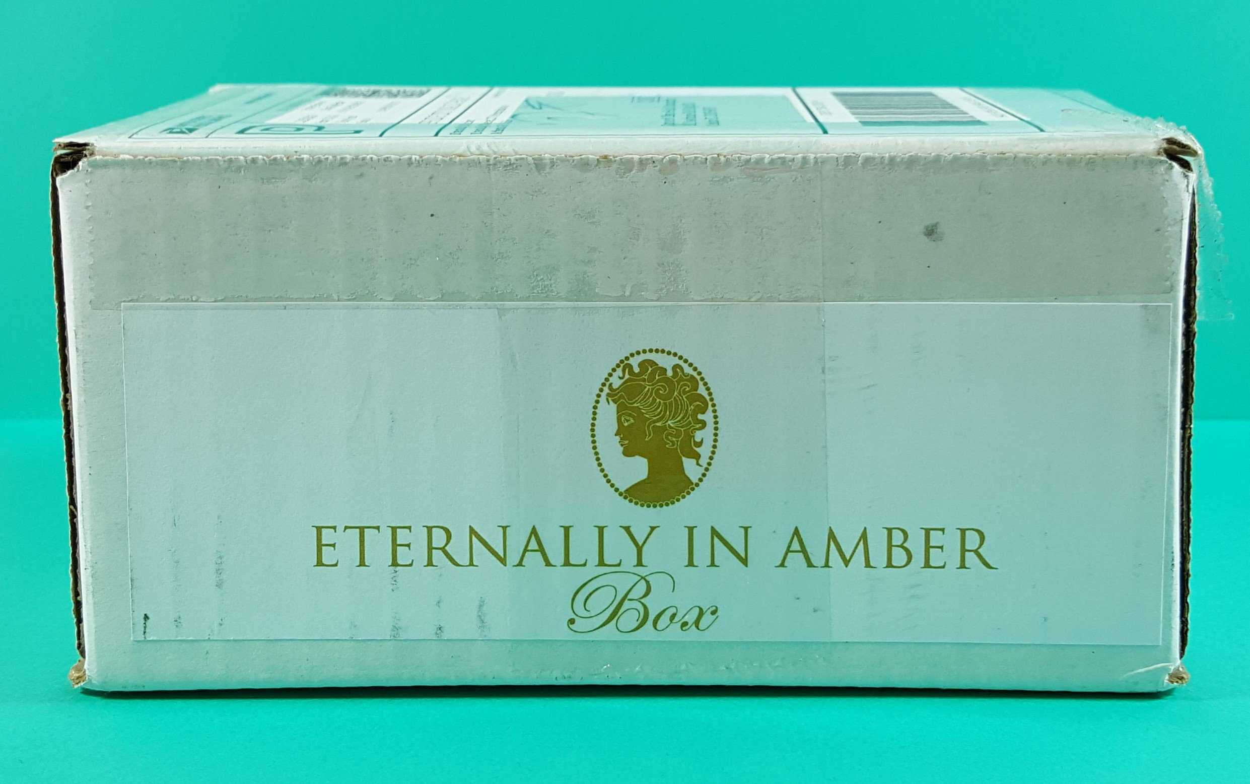Eternally in Amber Subscription Box Review & Coupon – November 2016