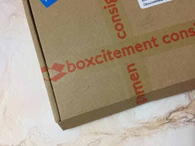 Boxcitement November 2016 Subscription Box Review + Coupon