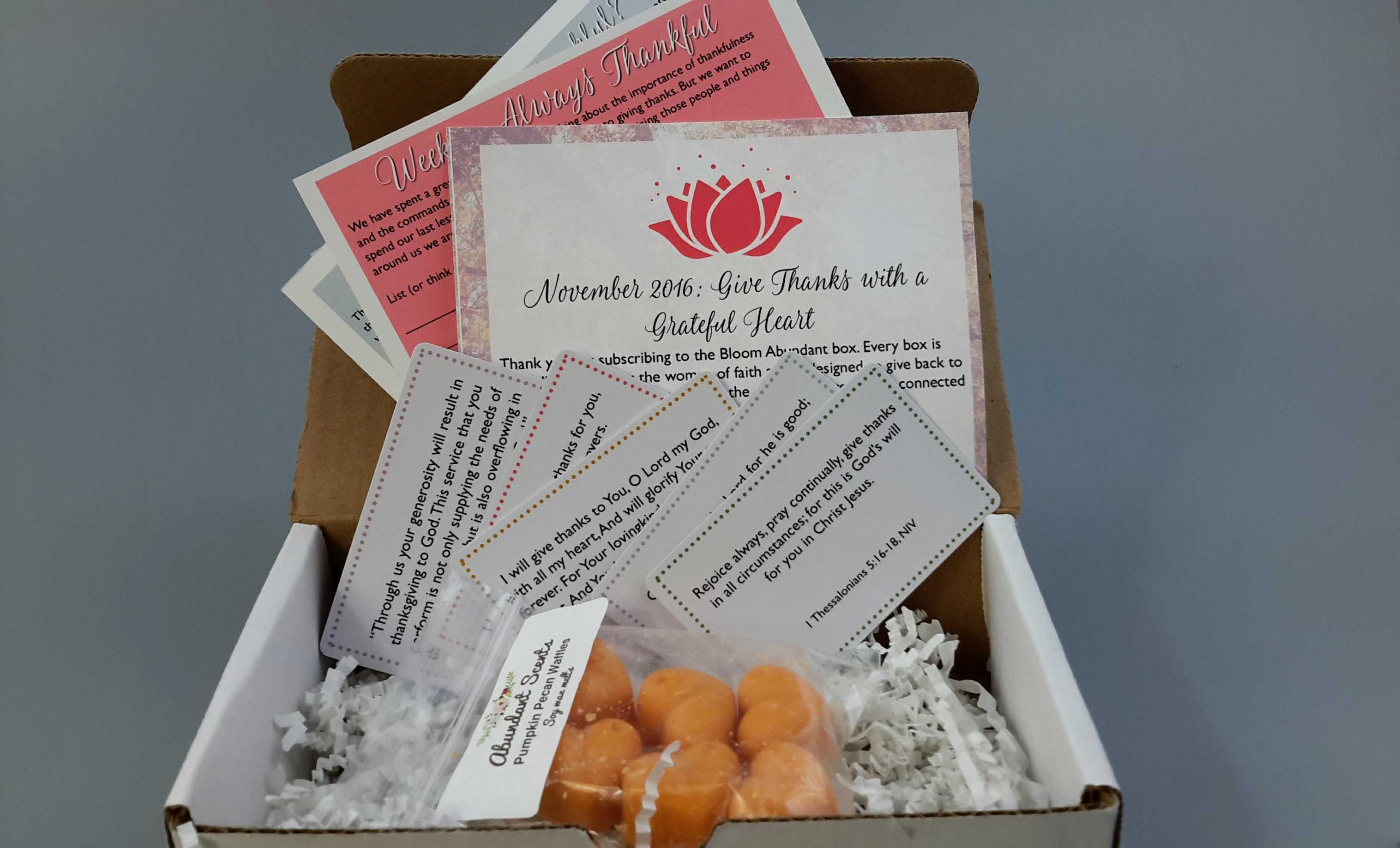 Bloom Abundant November 2016 Subscription Box Review + Coupons
