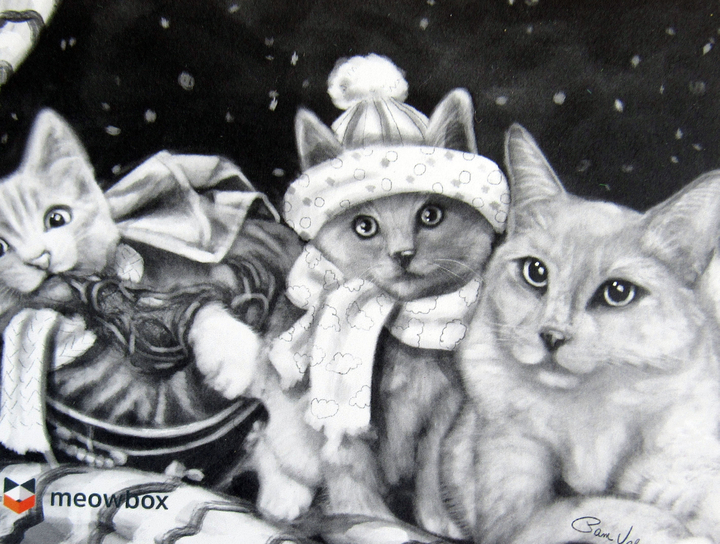 meowboxnovember1607