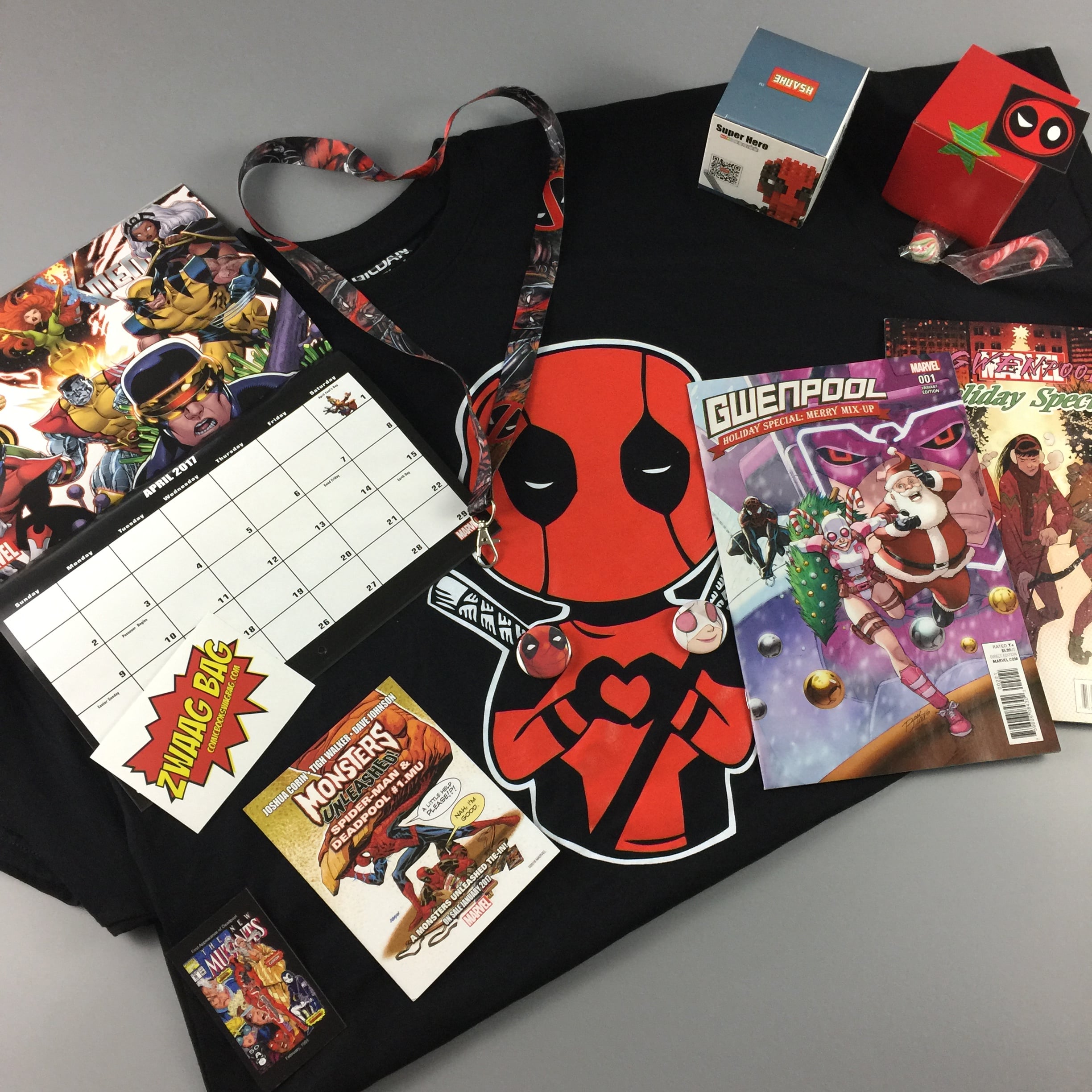 Zwaag Bag January 2017 Subscription Box Review & Coupon