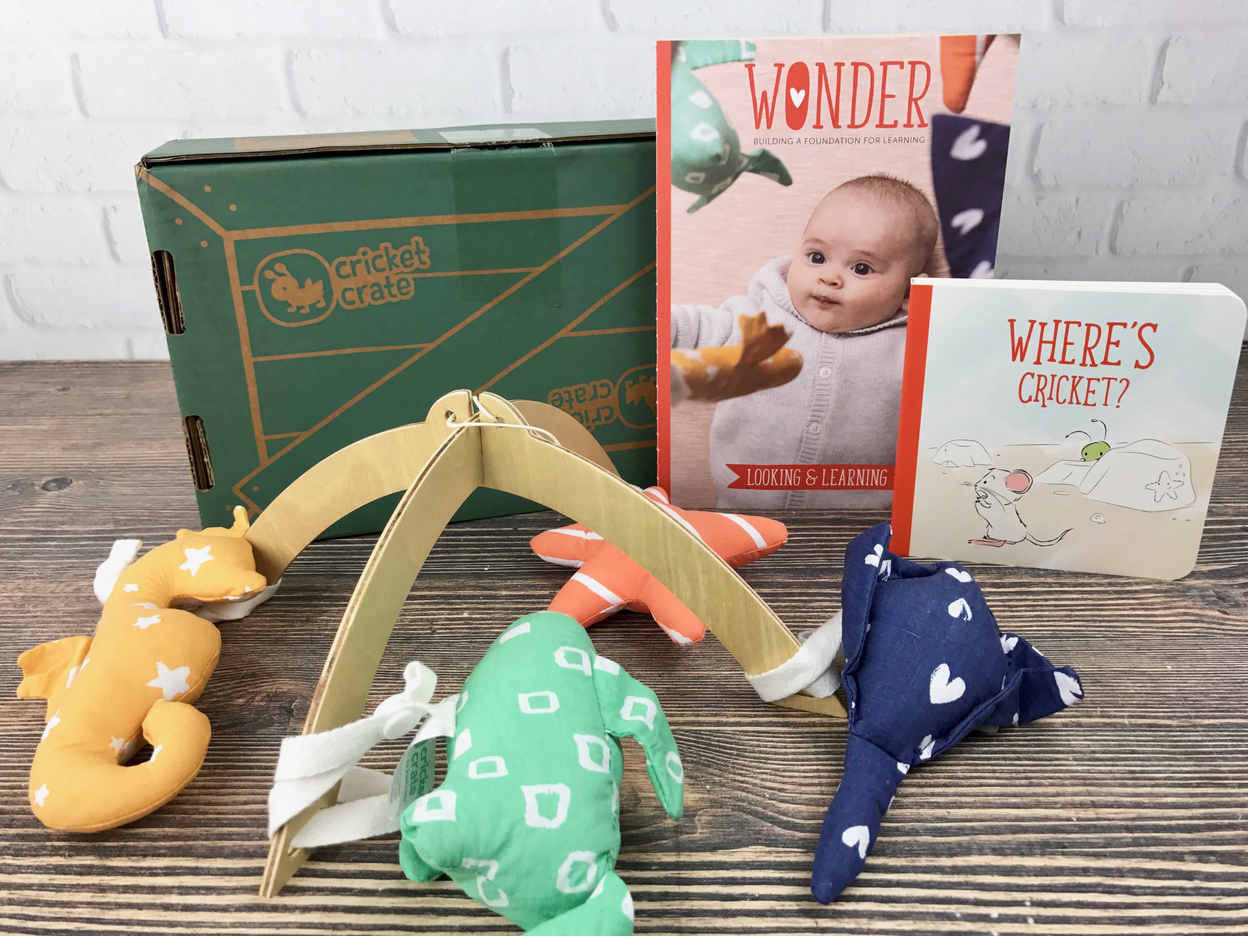 Cricket Crate   Subscription Box Review + Coupon!