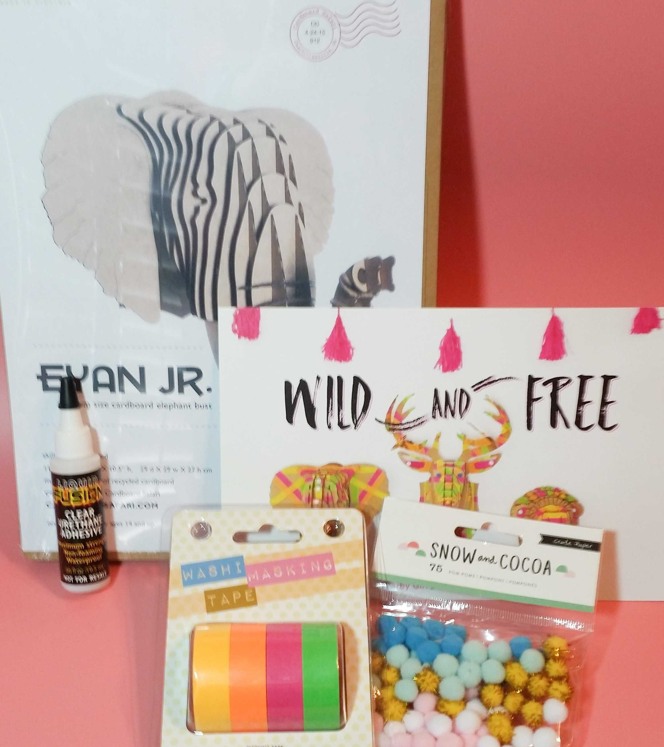 Darby Girl Subscription Box Review & Coupon – December 2016