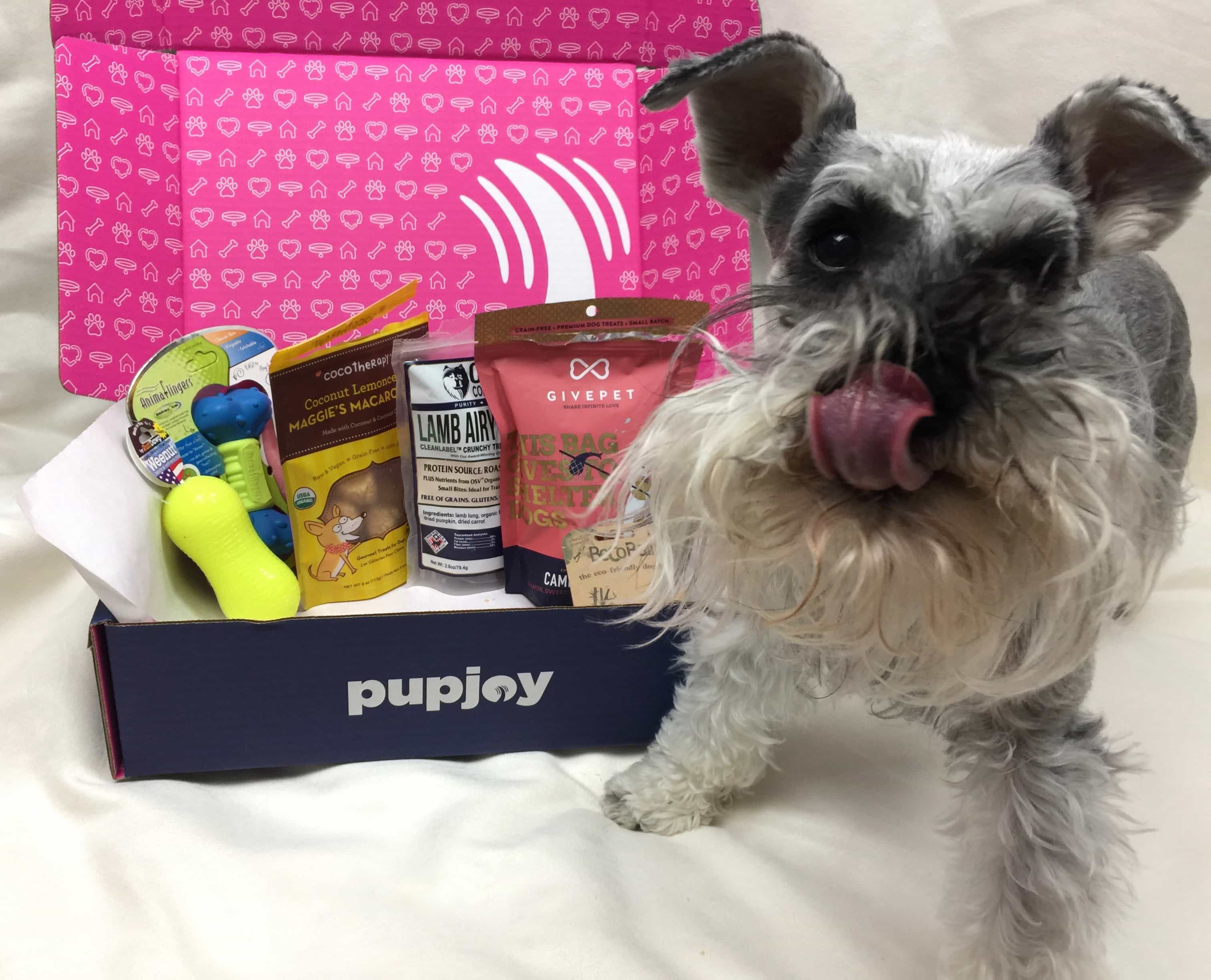 PupJoy February 2017 Subscription Box Review + Coupon