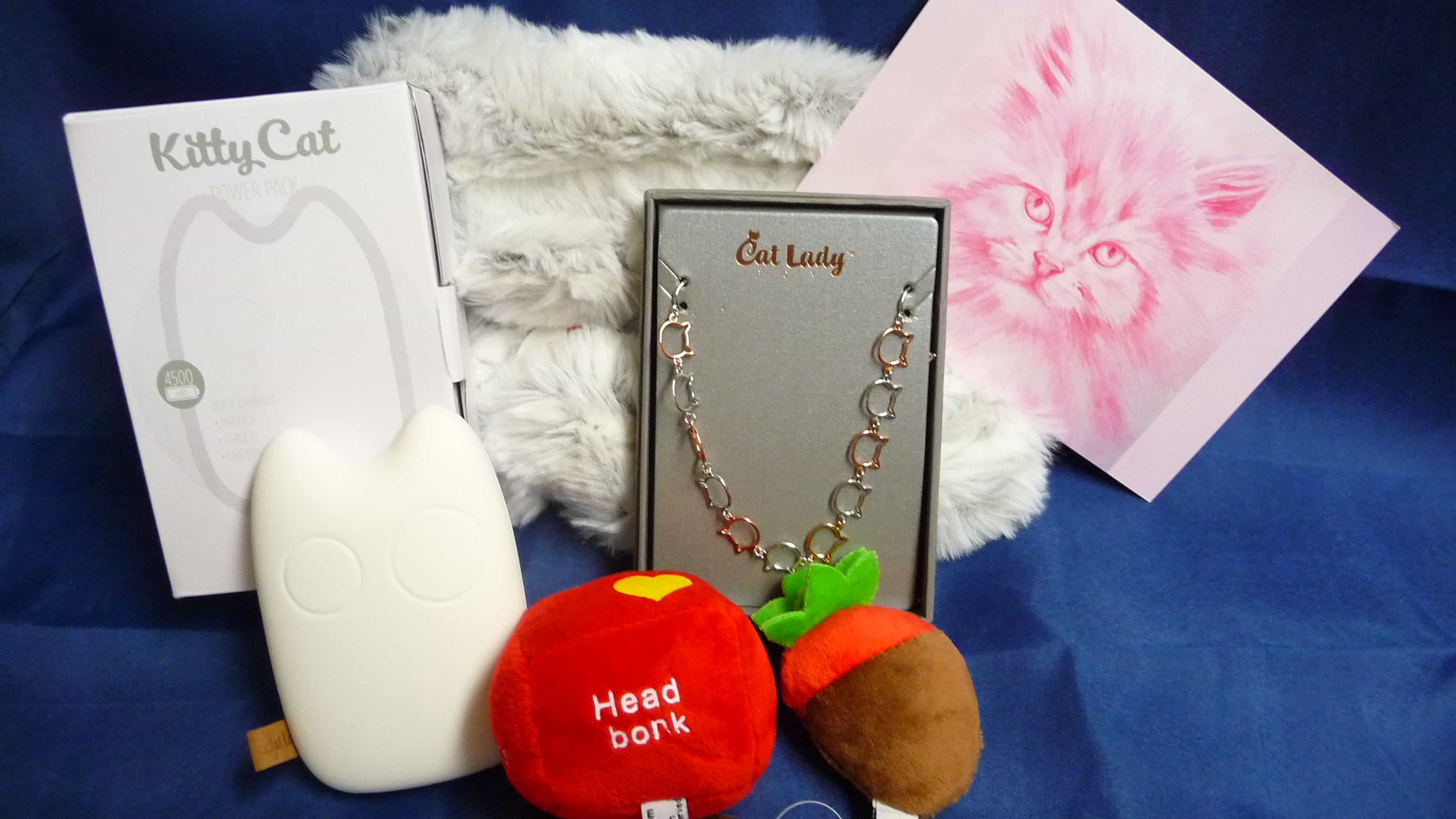 Cat Lady Box February 2017 Subscription Box Review & Coupon