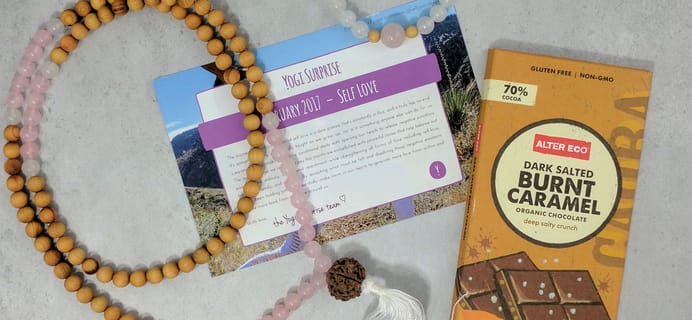 Yogi Surprise Jewelry Box Subscription Review – February 2017