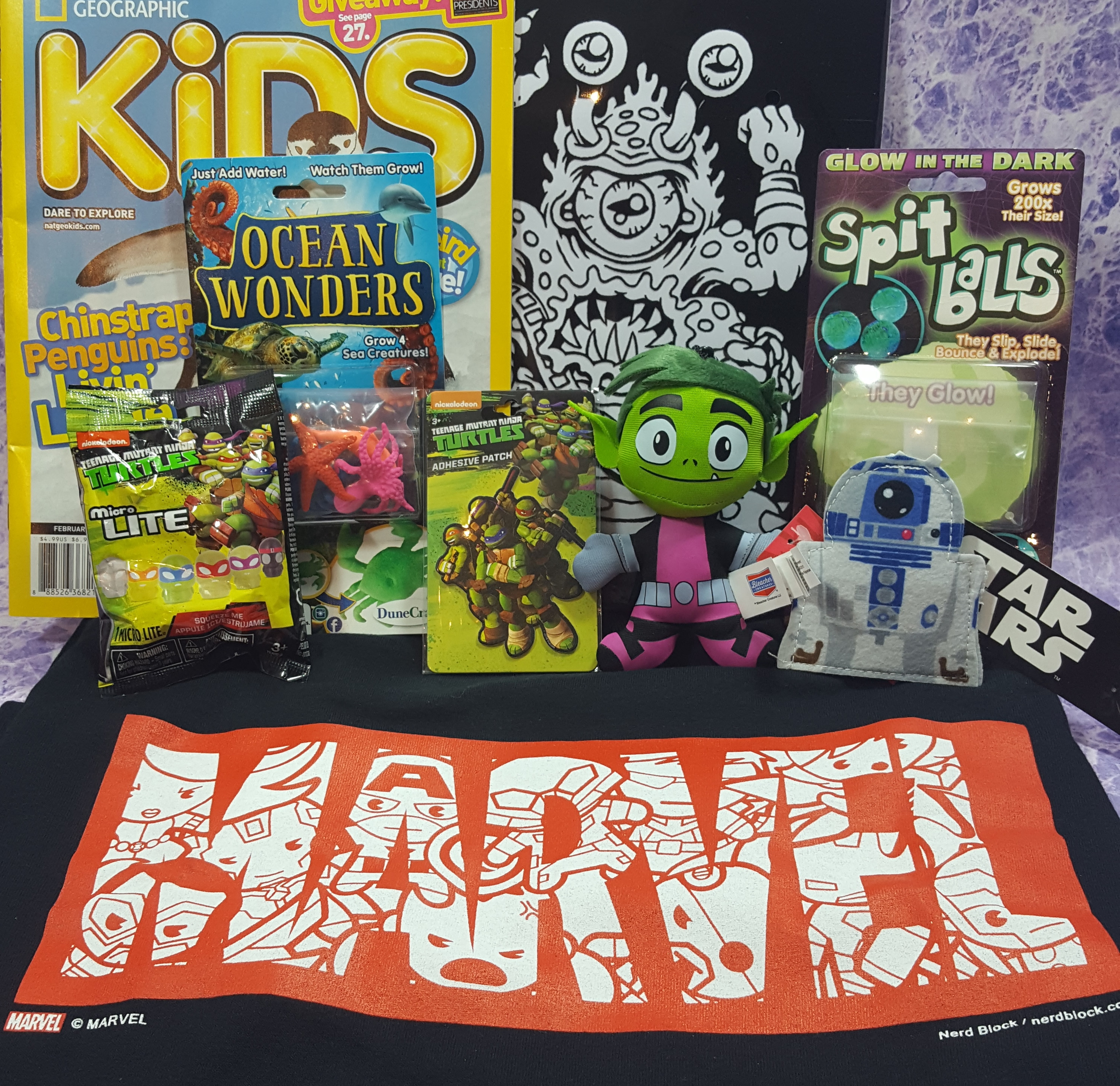 Nerd Block Jr. Boys Subscription Box Review & Coupon – January 2017