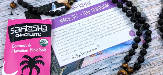 Yogi Surprise Jewelry Box Subscription Review – March 2017