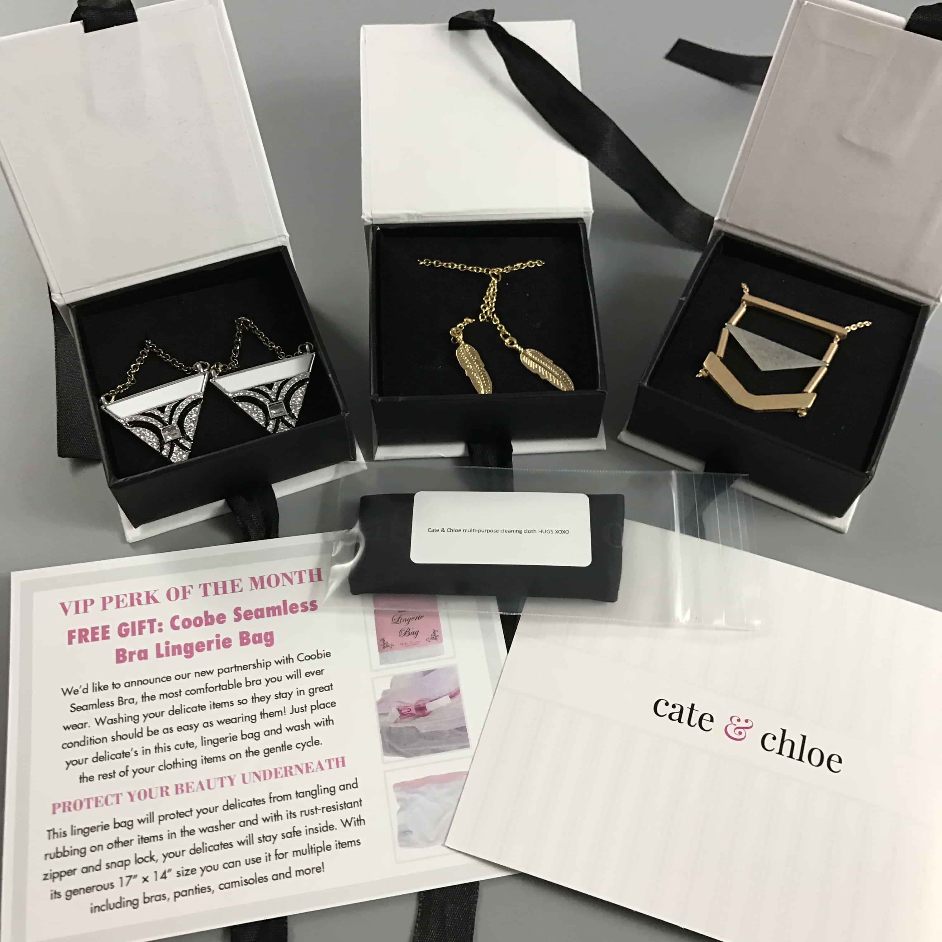 Cate & Chloe VIP Jewelry Subscription Box Review – March 2017