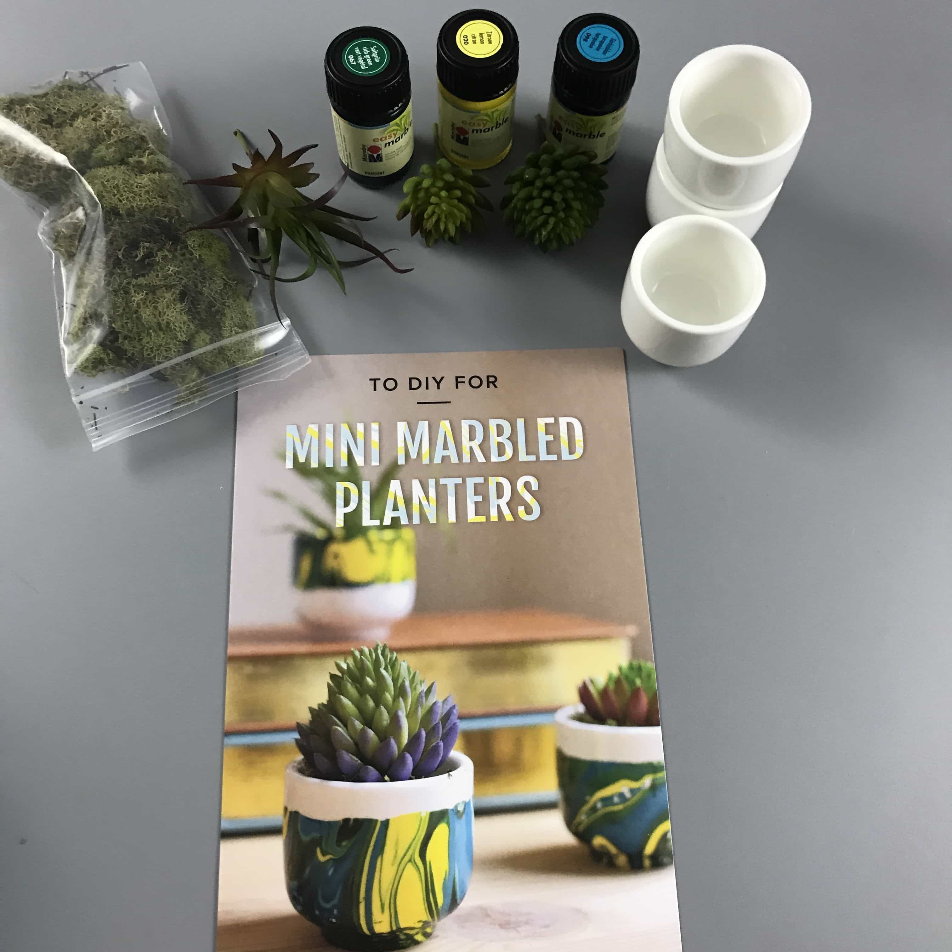 Darby Smart April 2017 Subscription Box Review + Coupon