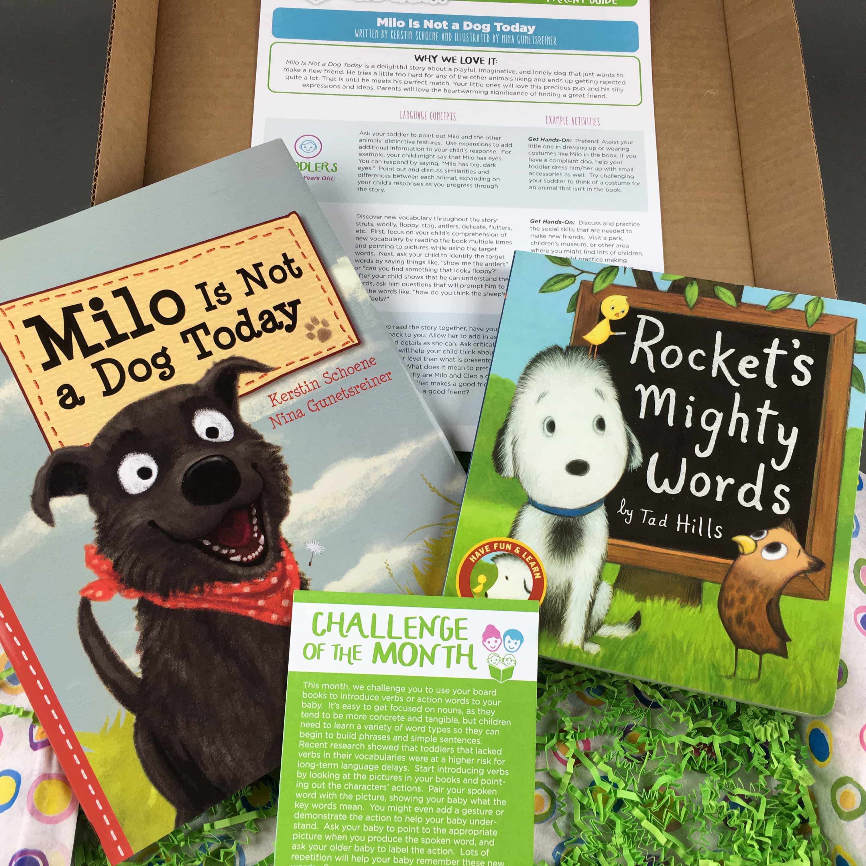 The Story Box February 2017 Subscription Box Review + Coupon