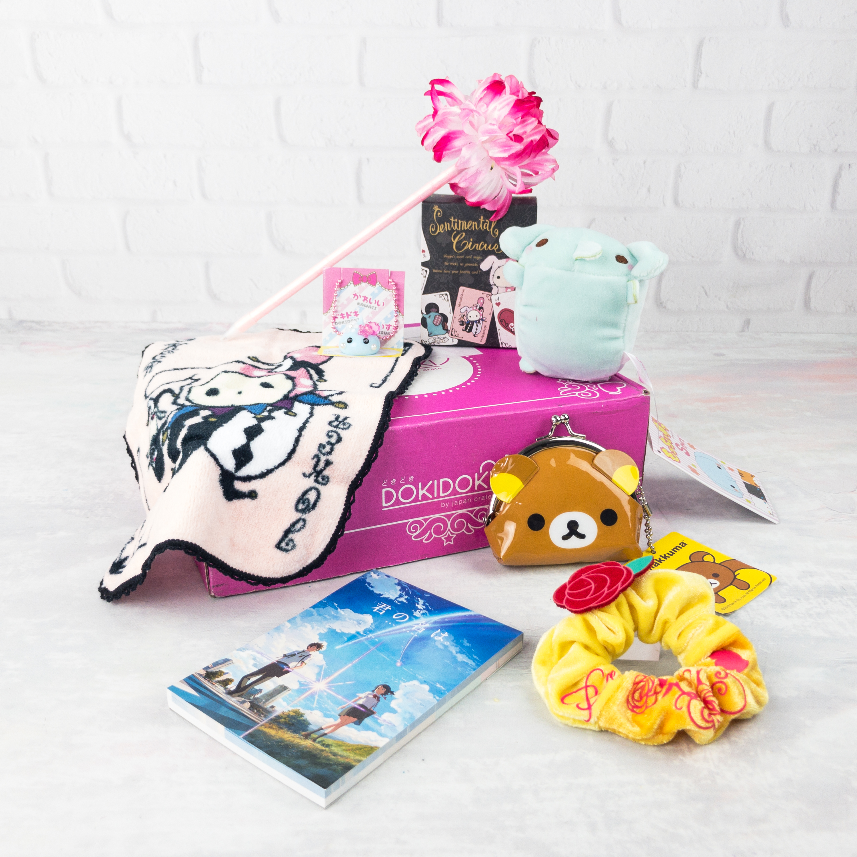 Doki Doki April 2017 Subscription Box Review & Coupon
