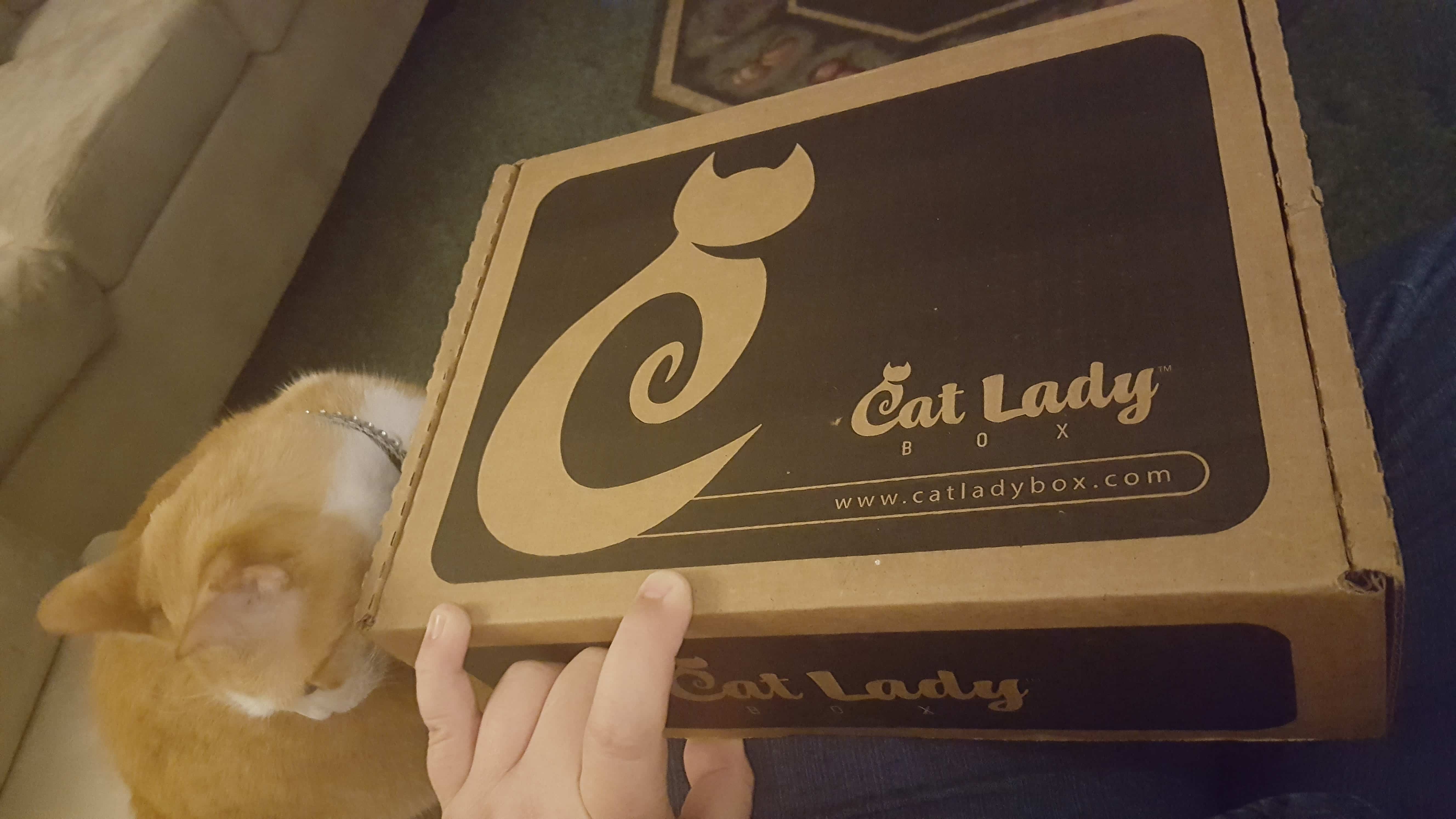 Cat Lady Box May 2017 Subscription Box Review + Coupon