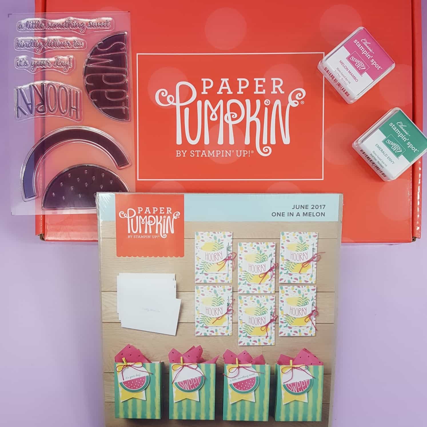 Paper Pumpkin June 2017 Subscription Box Review + Coupon