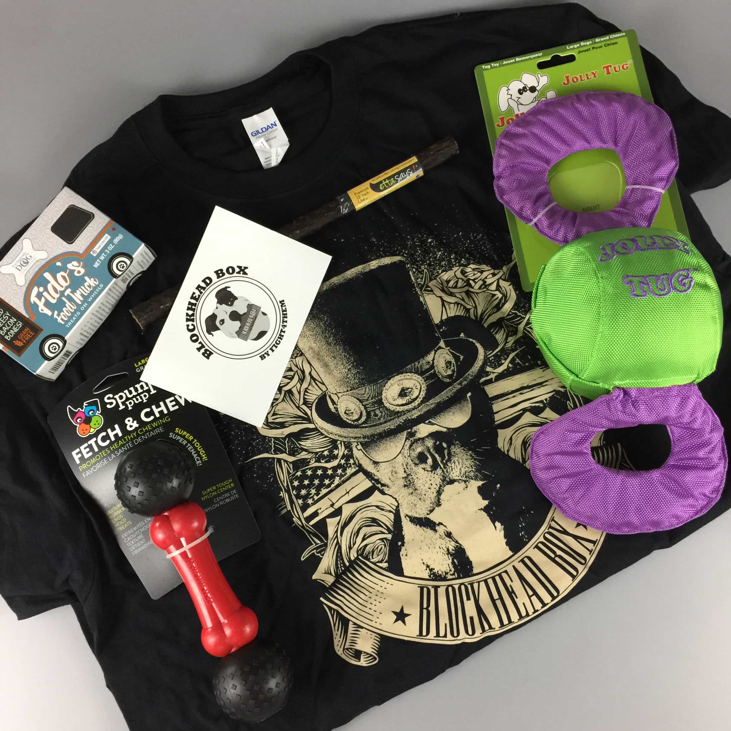 Blockhead Box June 2017 Subscription Box Review + Coupon