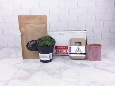 Miroja June 2017 Subscription Box Review