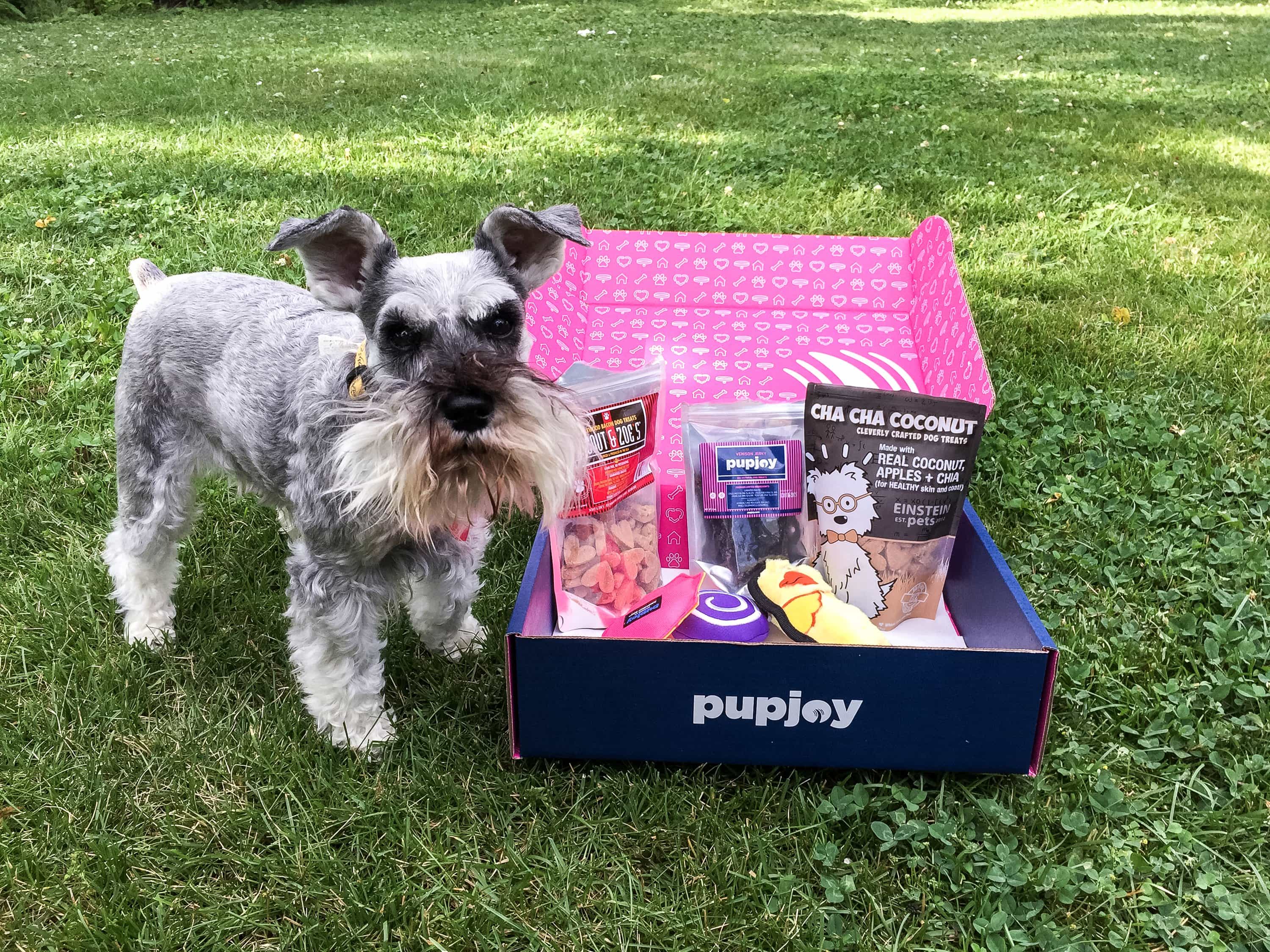 PupJoy June 2017 Subscription Box Review + Coupon