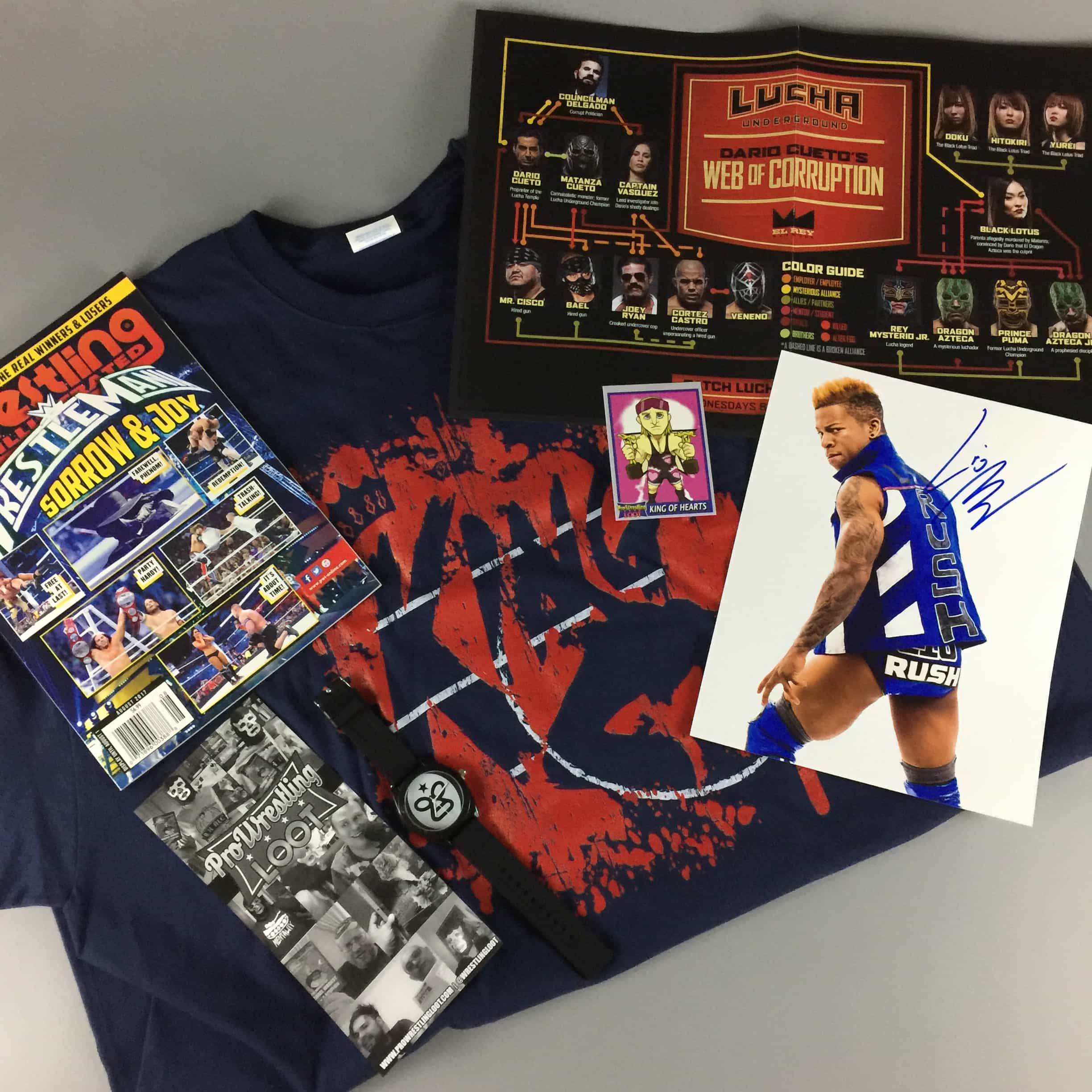 Pro Wrestling Loot June 2017 Subscription Box Review + Coupon
