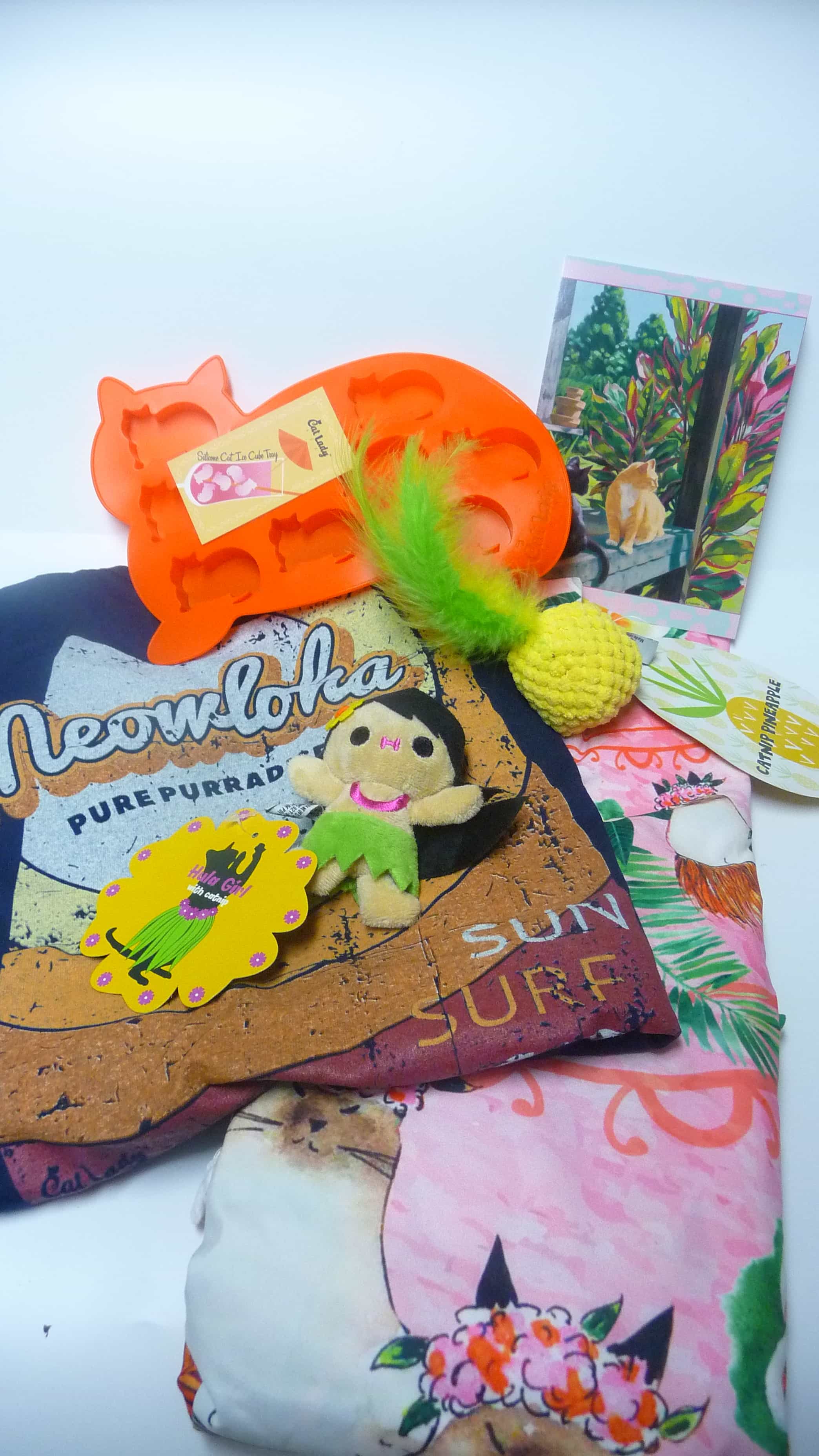 Cat Lady Box June 2017 Subscription Box Review + Coupon