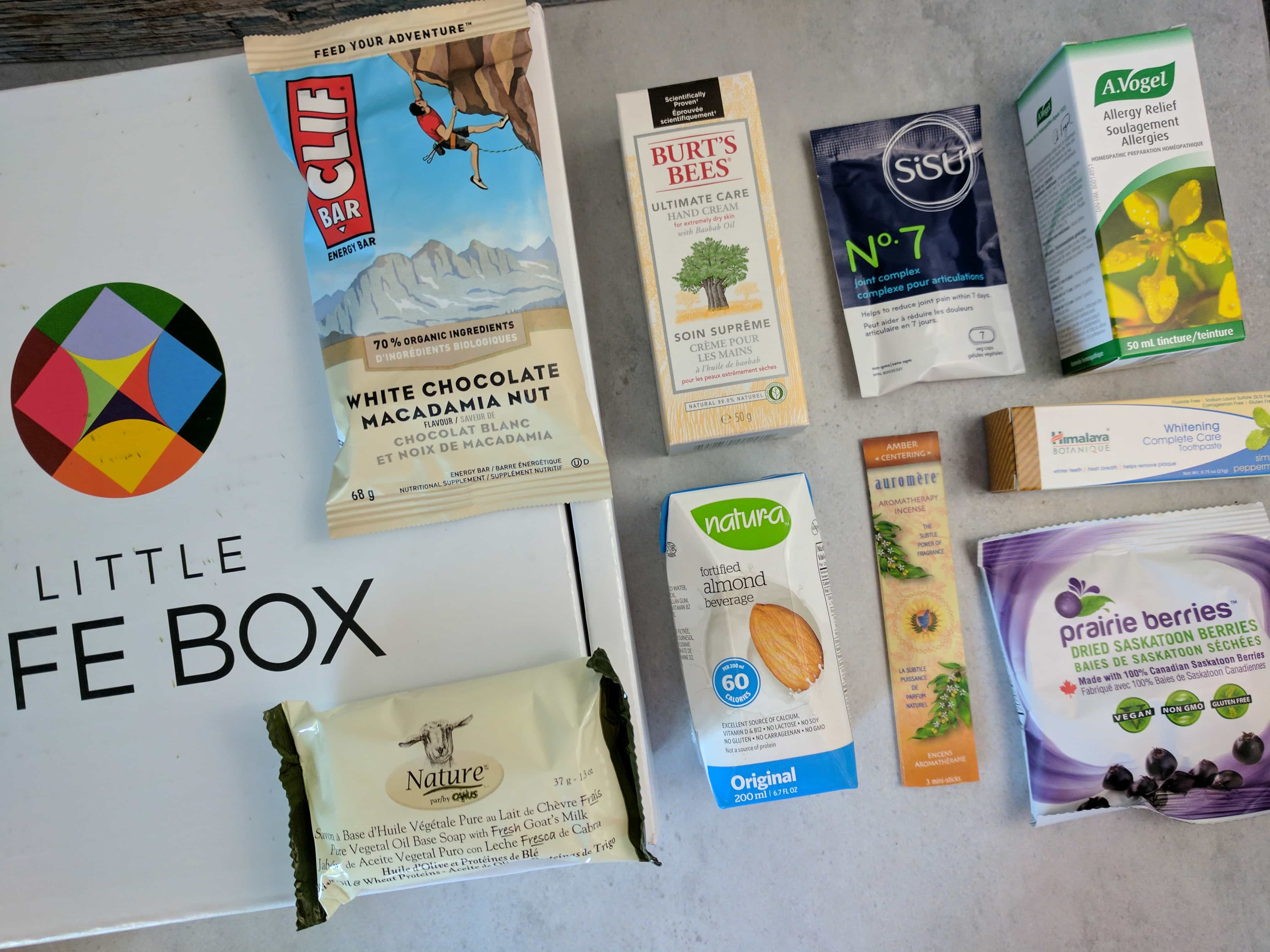 Little Life Box Subscription Box Review + Coupon – June 2017