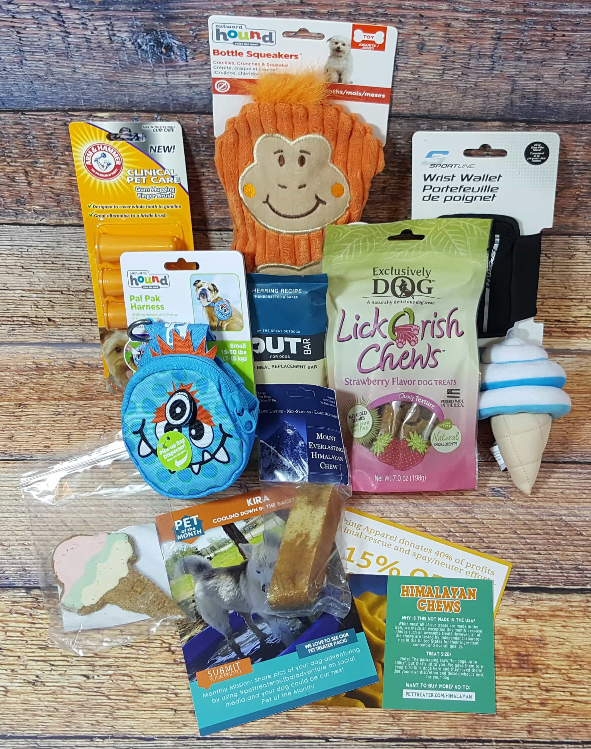Pet Treater Dog Subscription Box Review + Coupon – July 2017