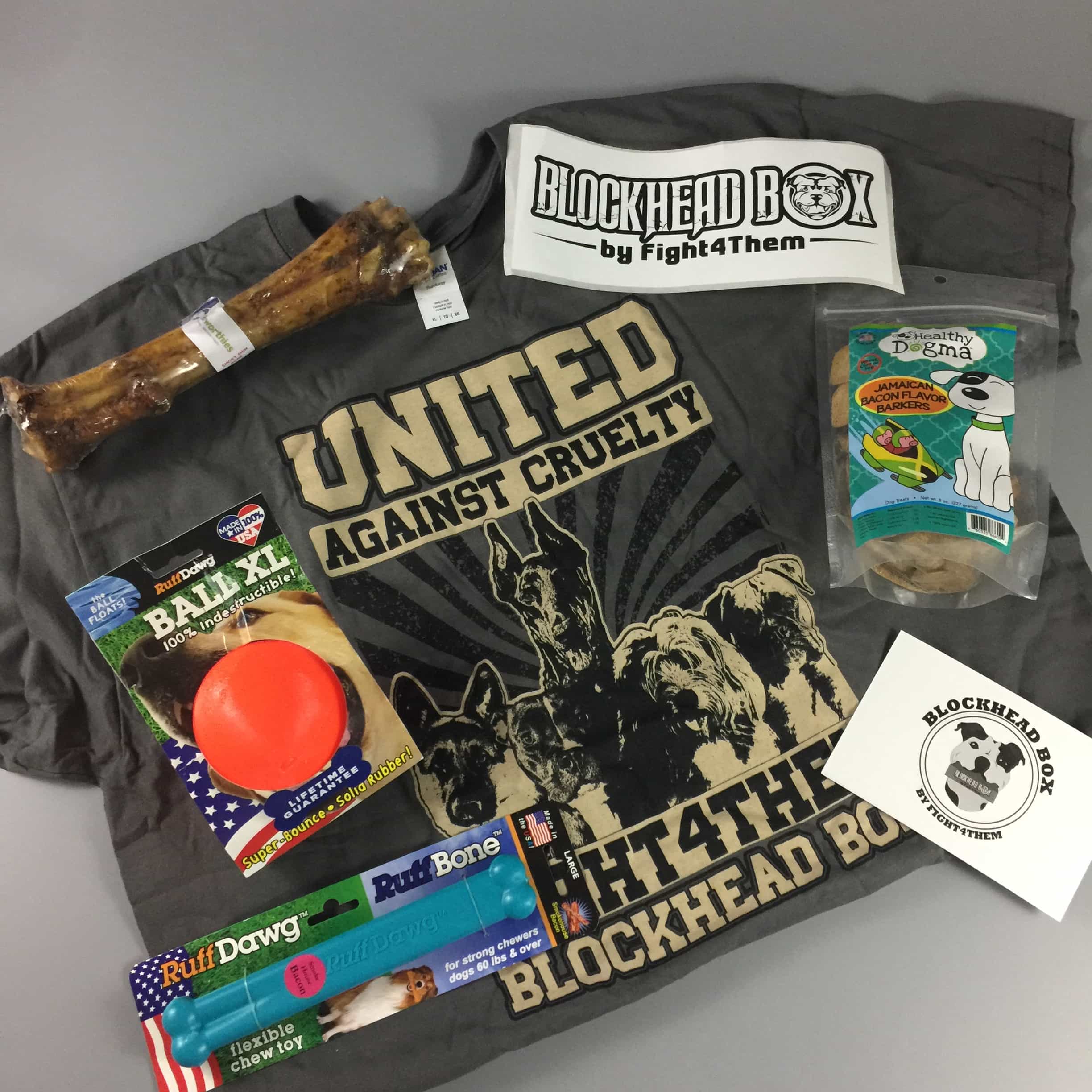 Blockhead Box August 2017 Subscription Box Review + Coupon