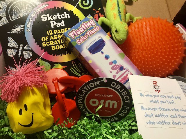 Sensory TheraPLAY Box Subscription Box Review + Coupon – August 2017
