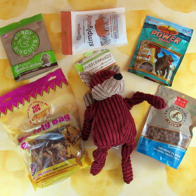 Daisy-Care August 2017 Subscription Box Review & Coupon – Large Dog