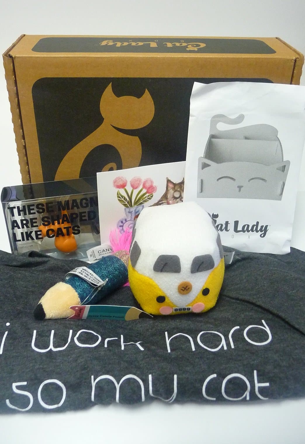 Cat Lady Box August 2017 Subscription Box Review + Coupon