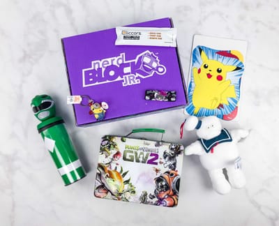 Nerd Block Jr. Girls Subscription Box Review – June 2017