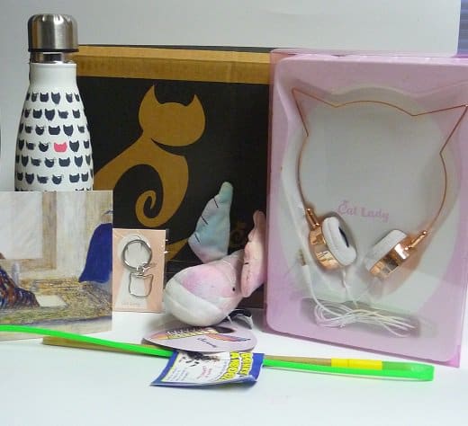 Cat Lady Box September 2017 Subscription Box Review + Coupon