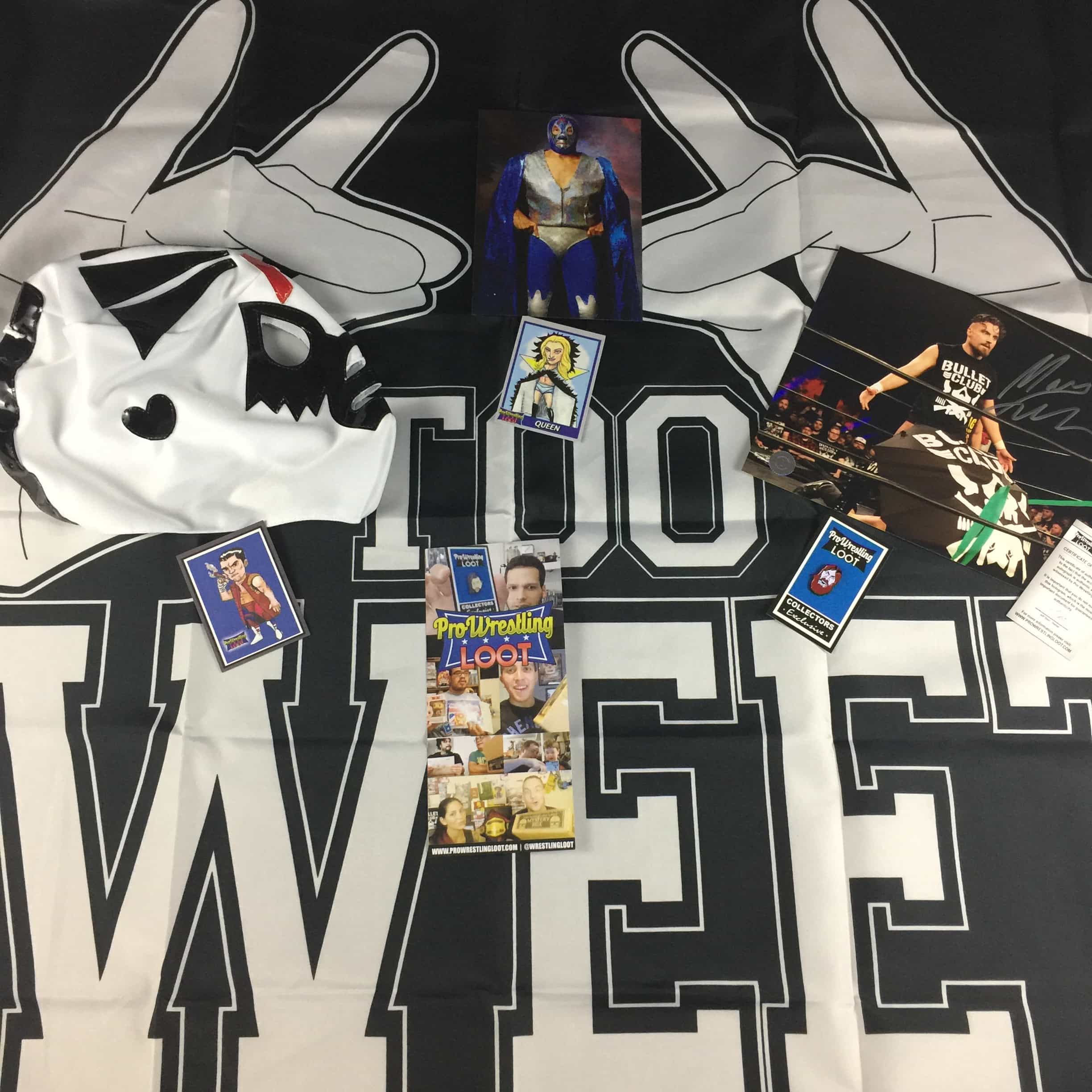 Pro Wrestling Loot September 2017 Subscription Box Review + Coupon