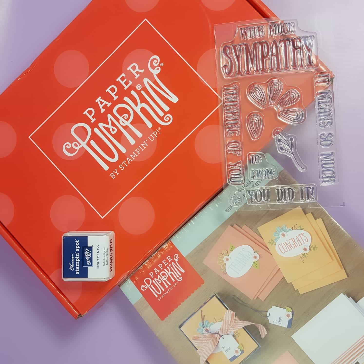 Paper Pumpkin August 2017 Subscription Box Review + Coupon